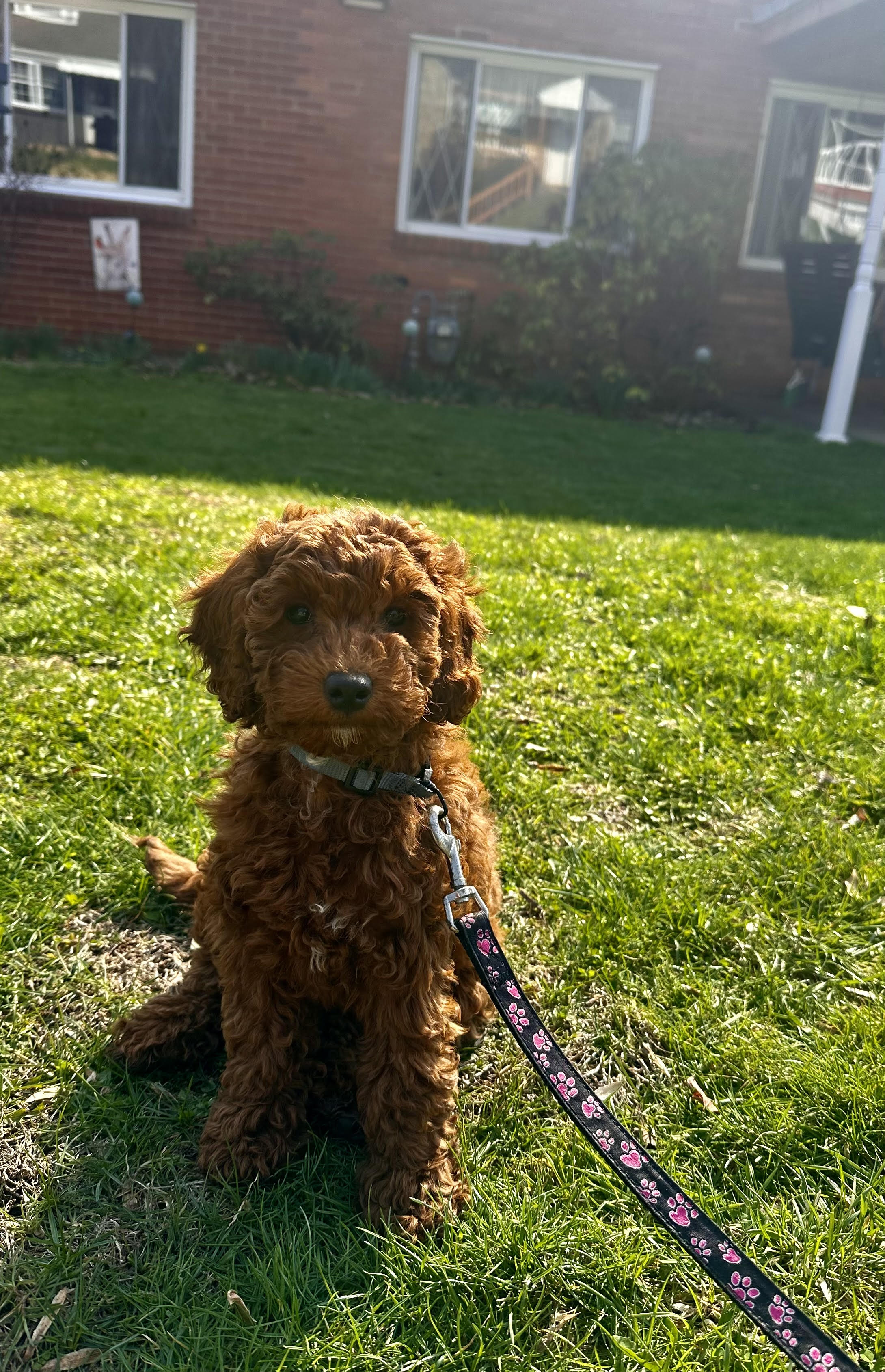 Photo Review Submission from Emily Aragon