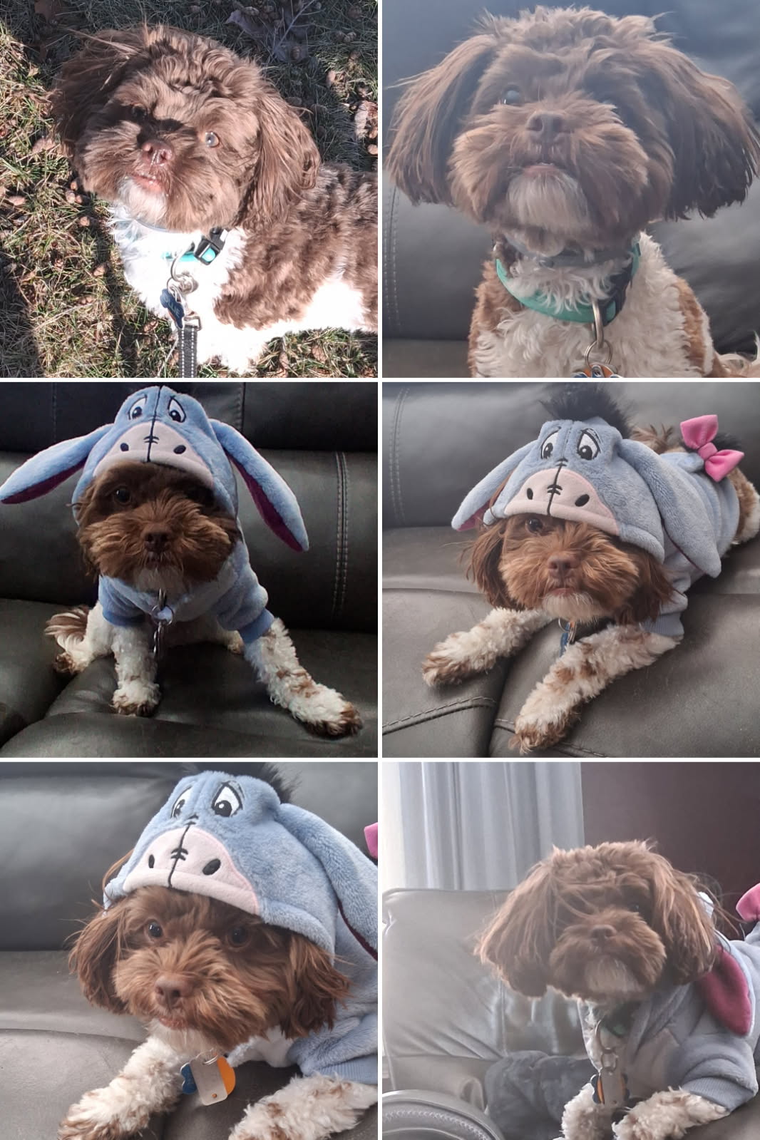 Photo Review Submission from Susan Kimmel