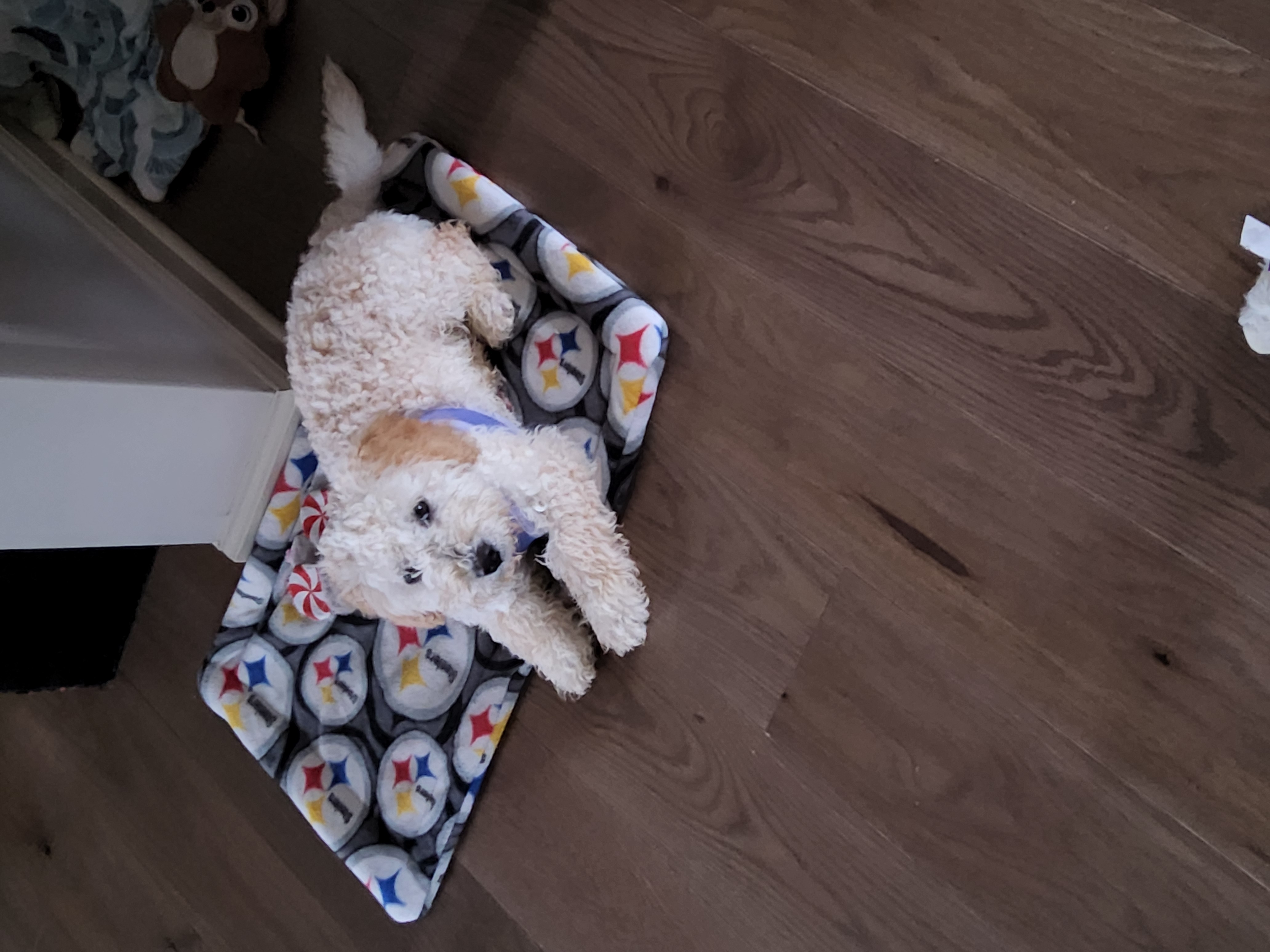 Photo Review Submission from Theresa Berg