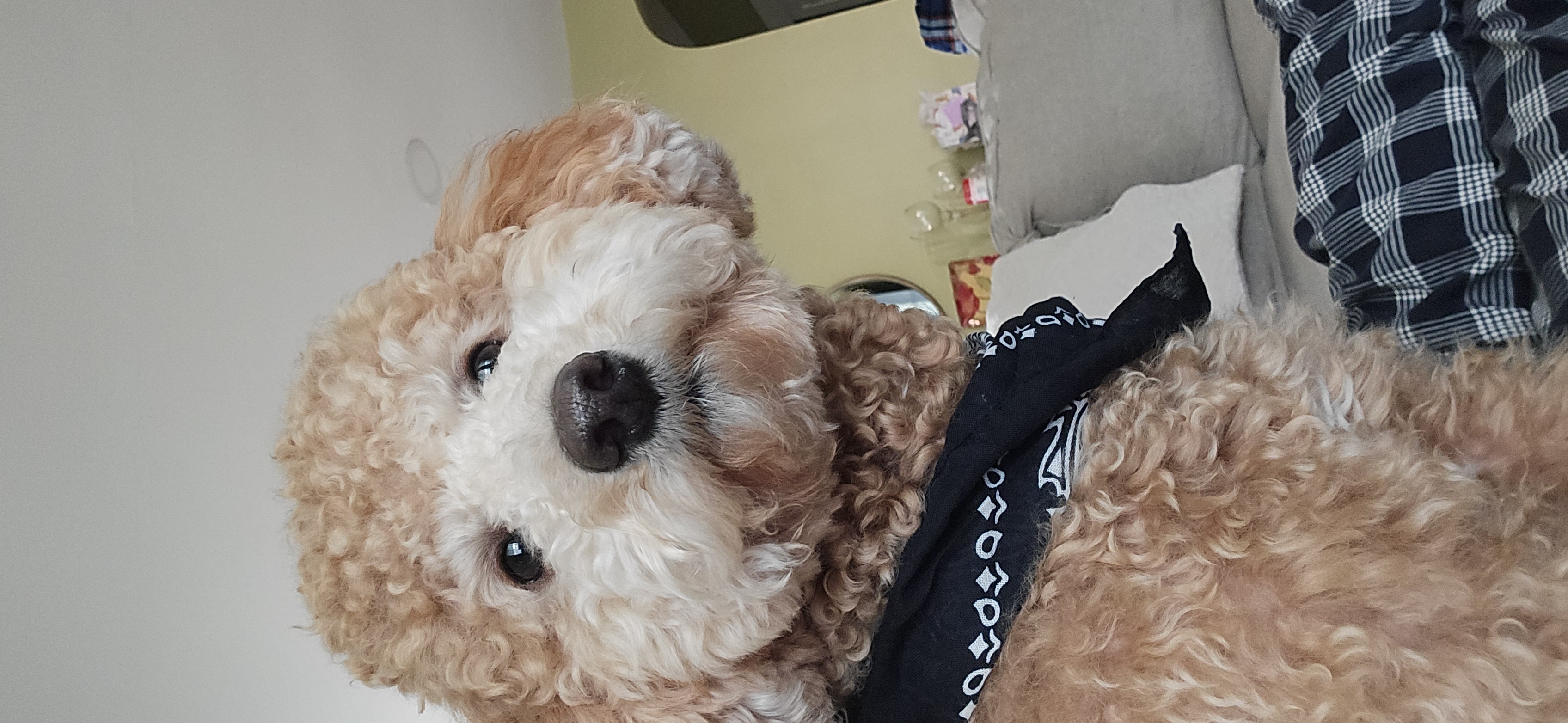 Photo Review Submission from Valtair De Souza