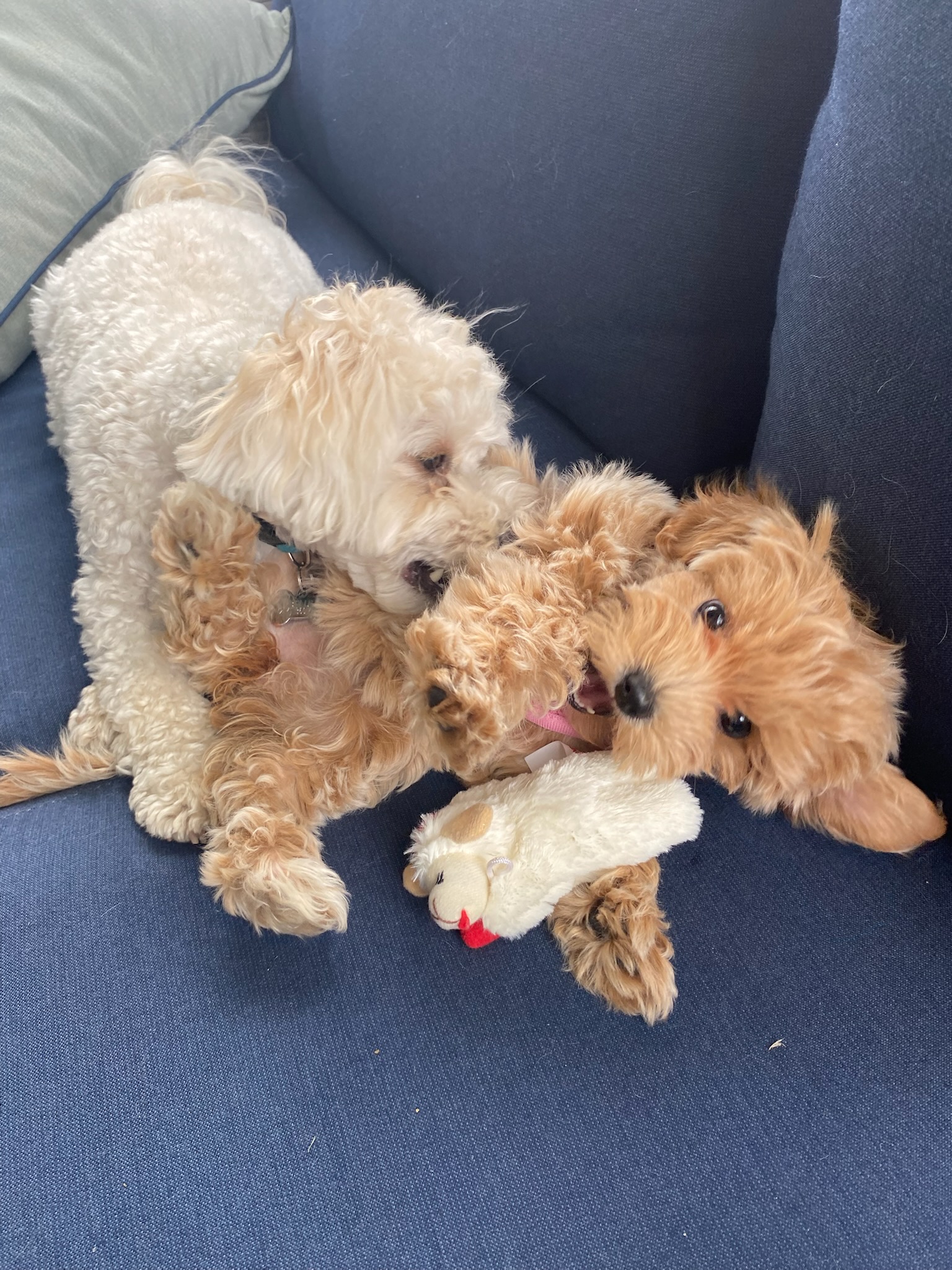 Photo Review Submission from Kathleen Dunn