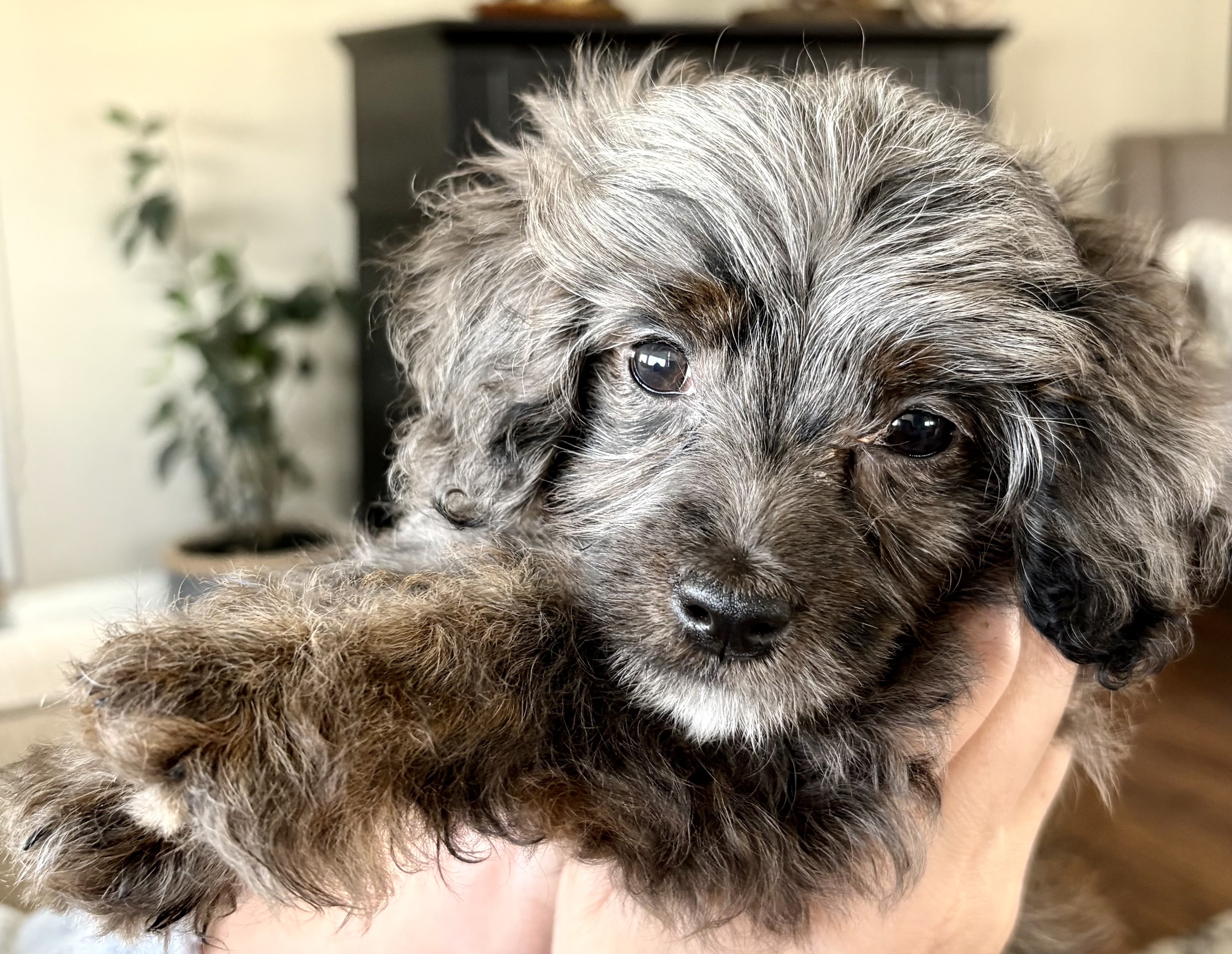 Photo Review Submission from Amy Gill