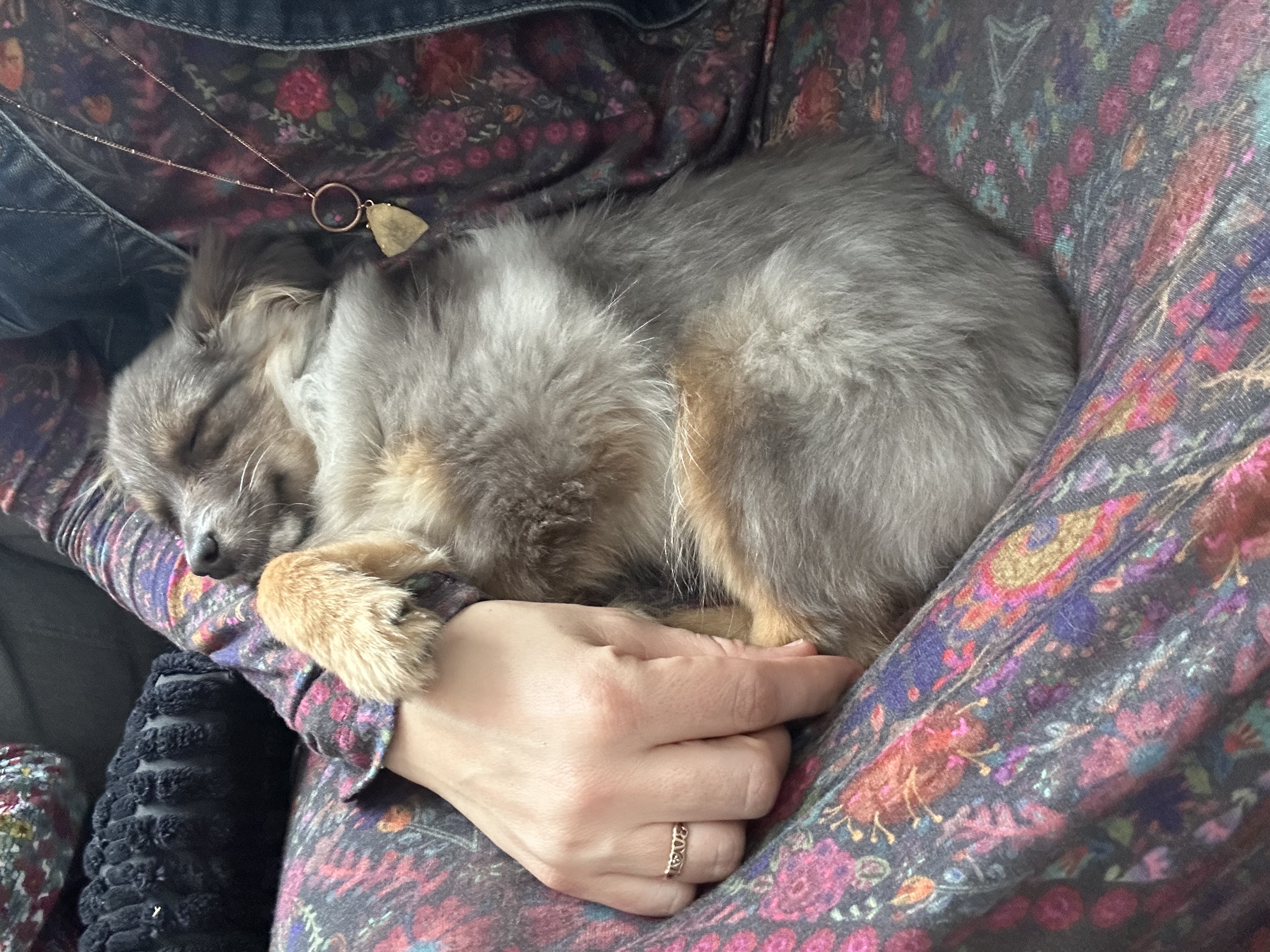 Photo Review Submission from Hilary Fillmore