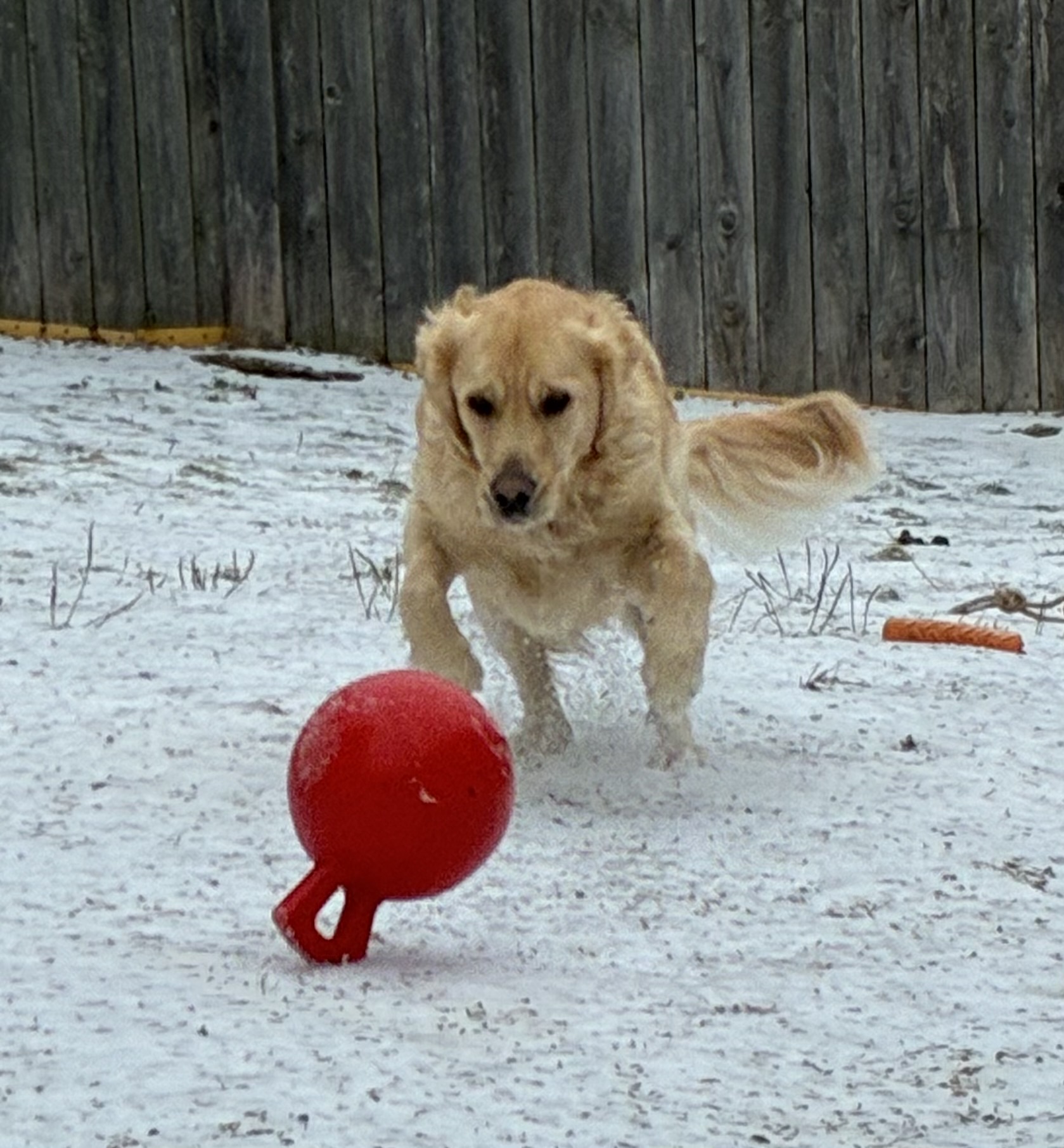 Photo Review Submission from Roxanne Corbly