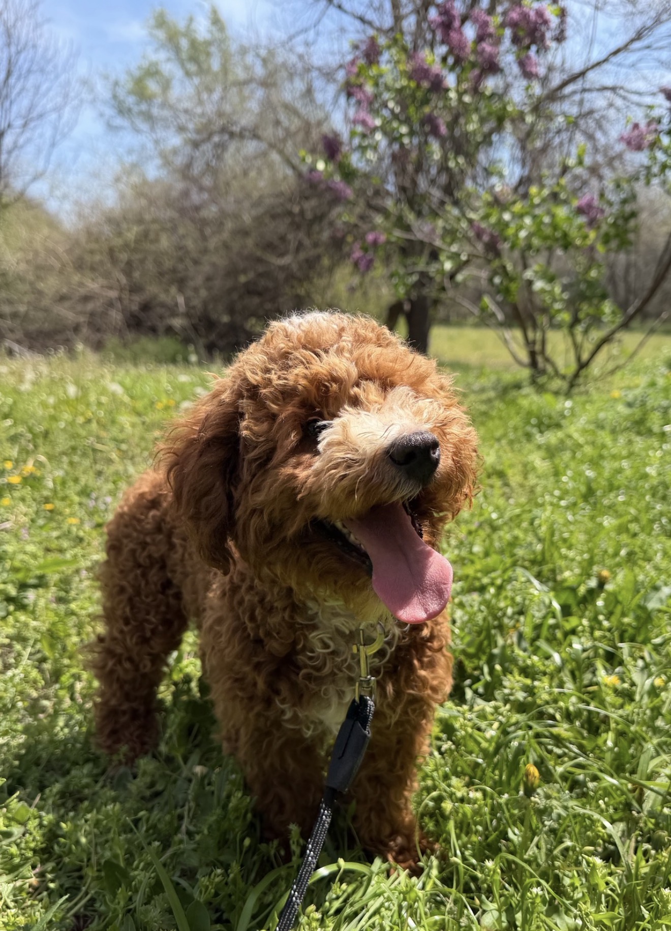 Photo Review Submission from Ashley C