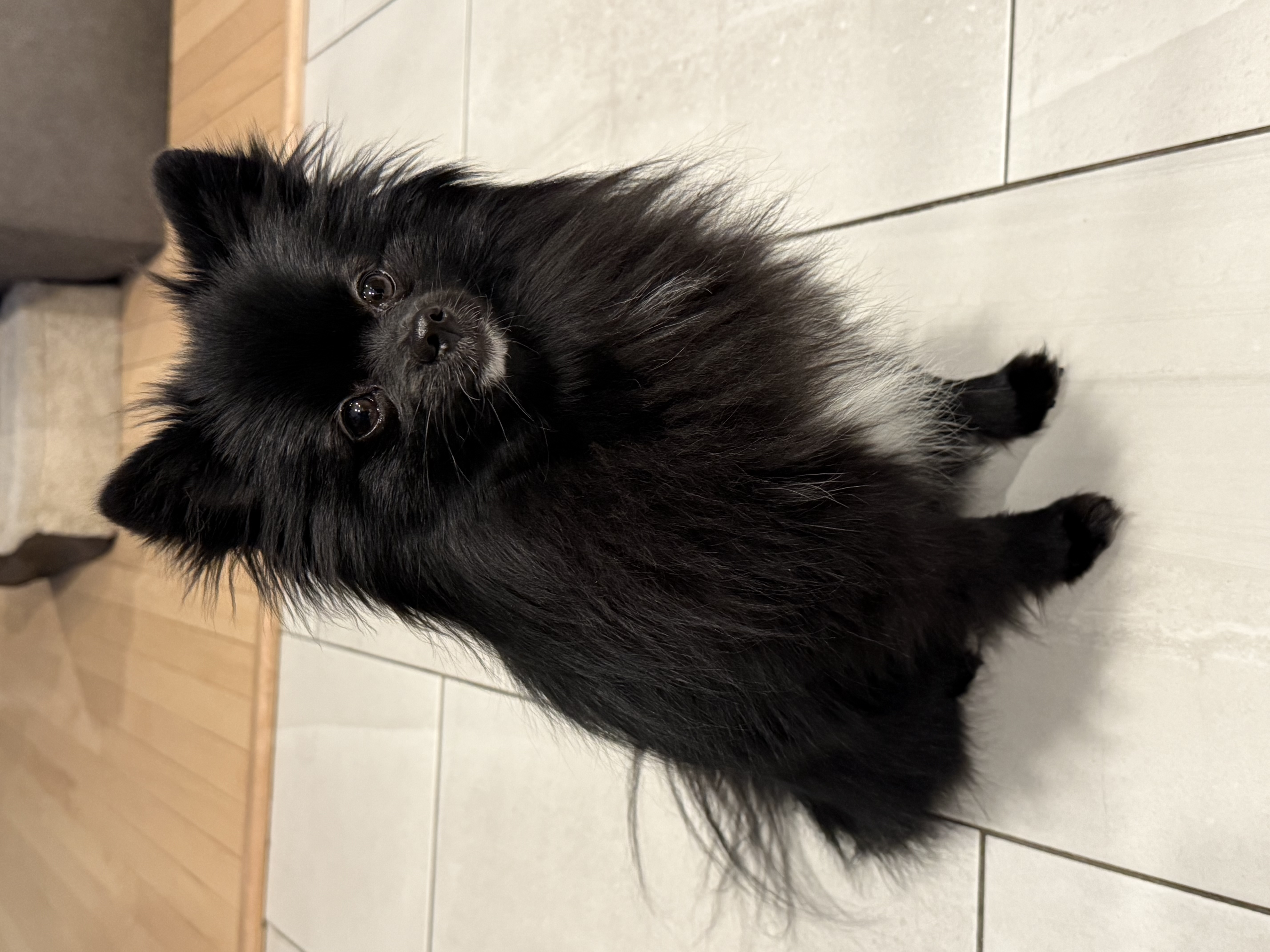 Photo Review Submission from Michael Katz