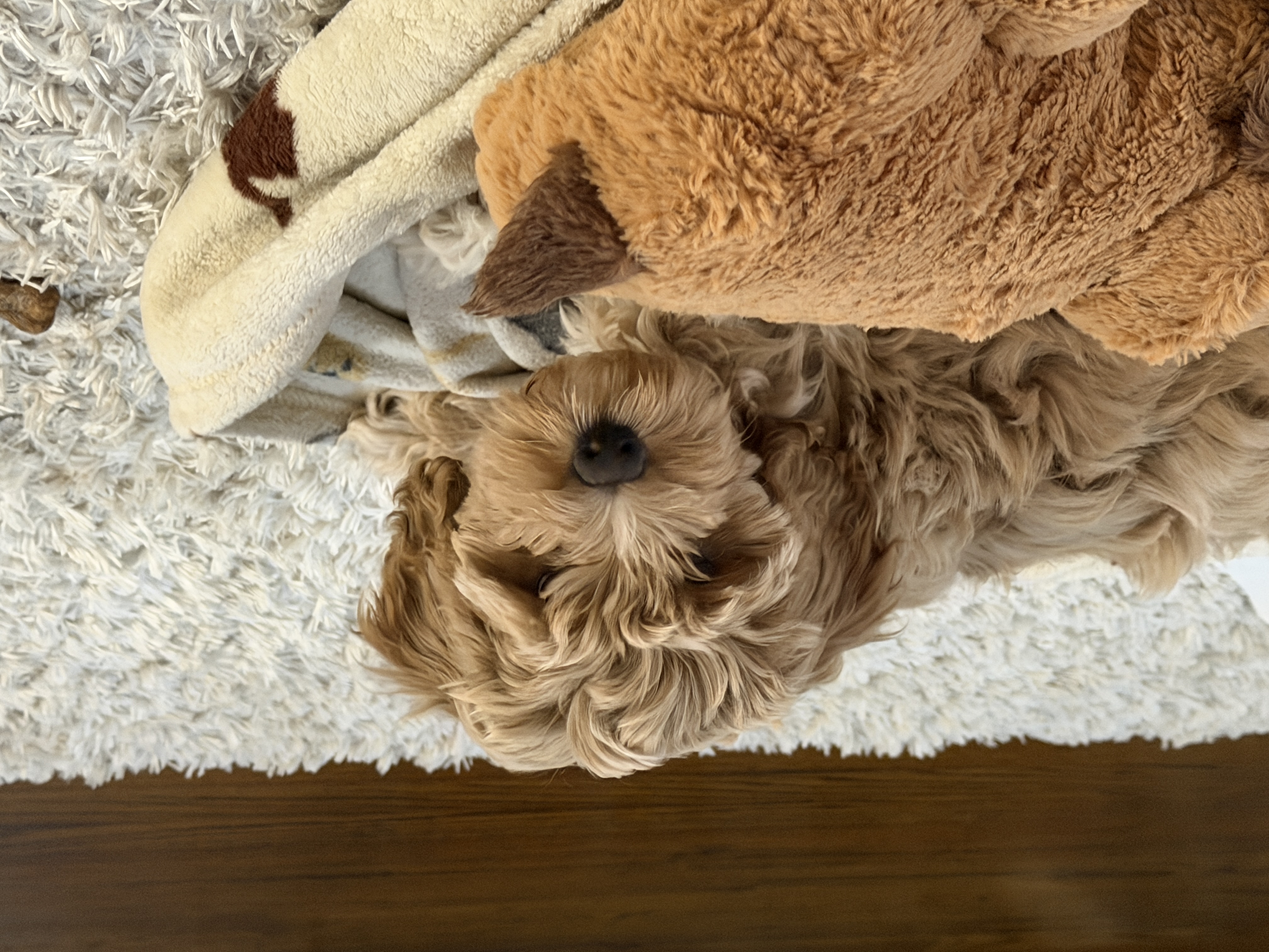 Photo Review Submission from Meghan Jennings