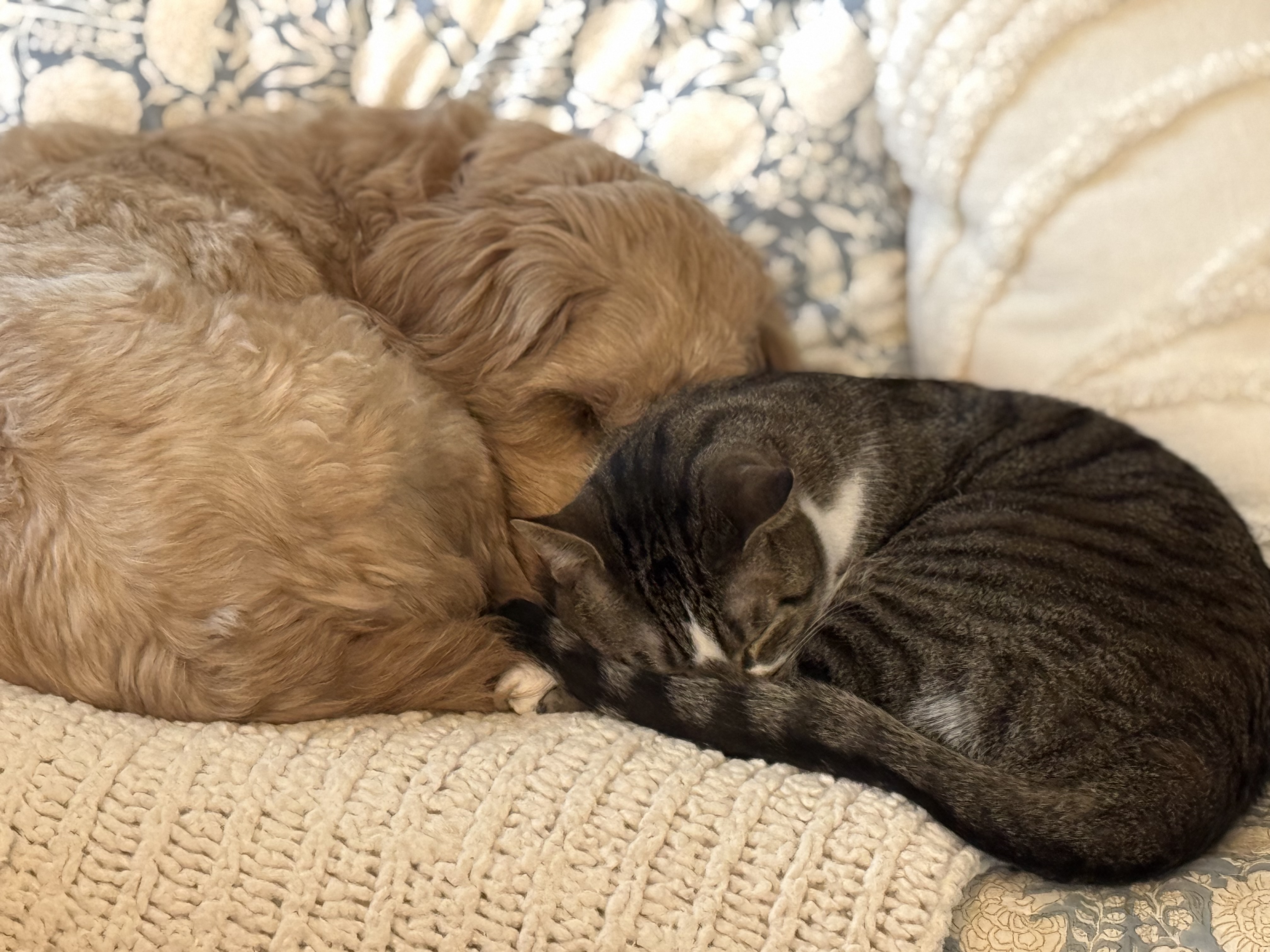 Photo Review Submission from Leigh Anne Brame