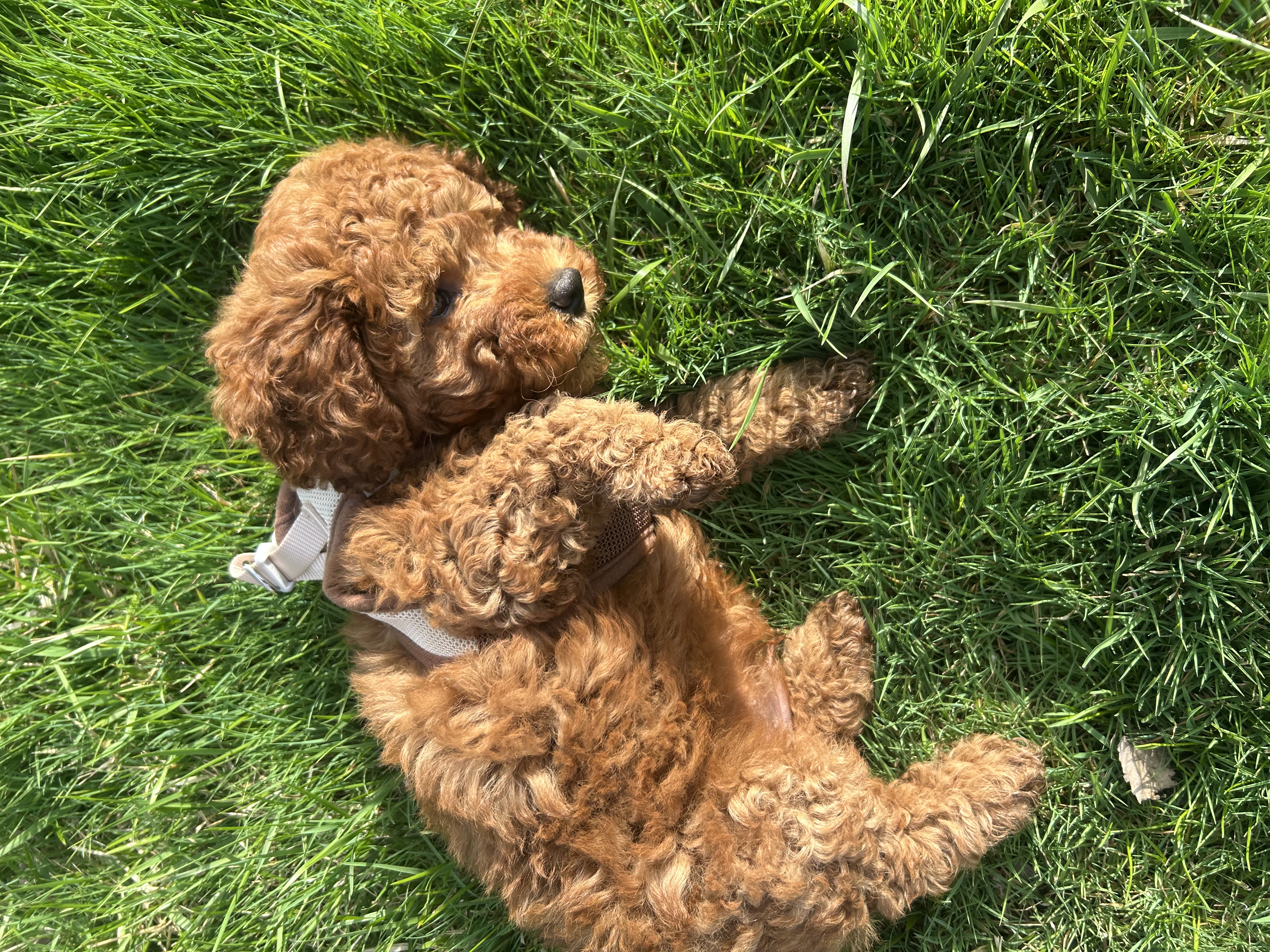 Photo Review Submission from Darlene Hightower