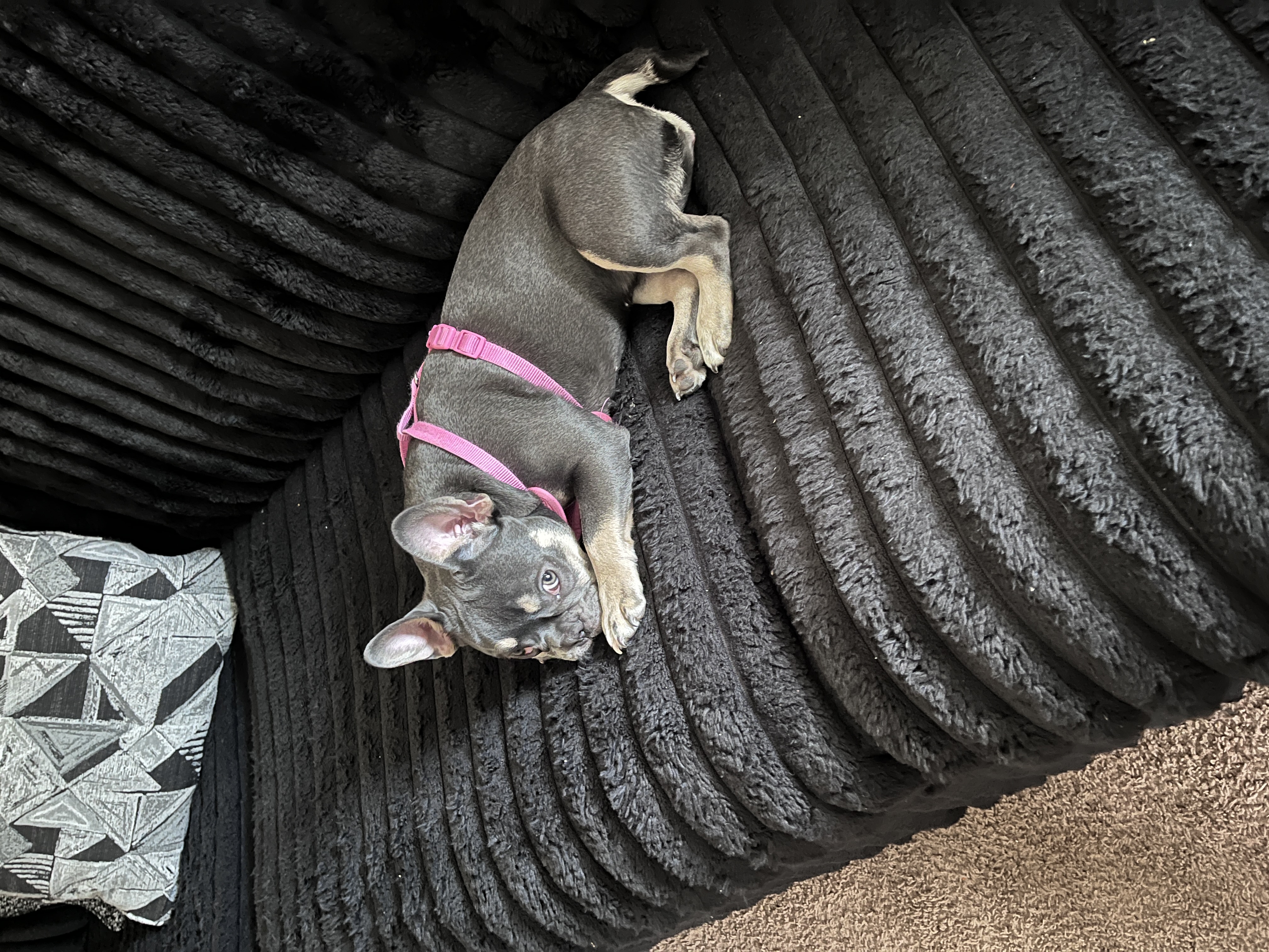 Photo Review Submission from Talynn Justice