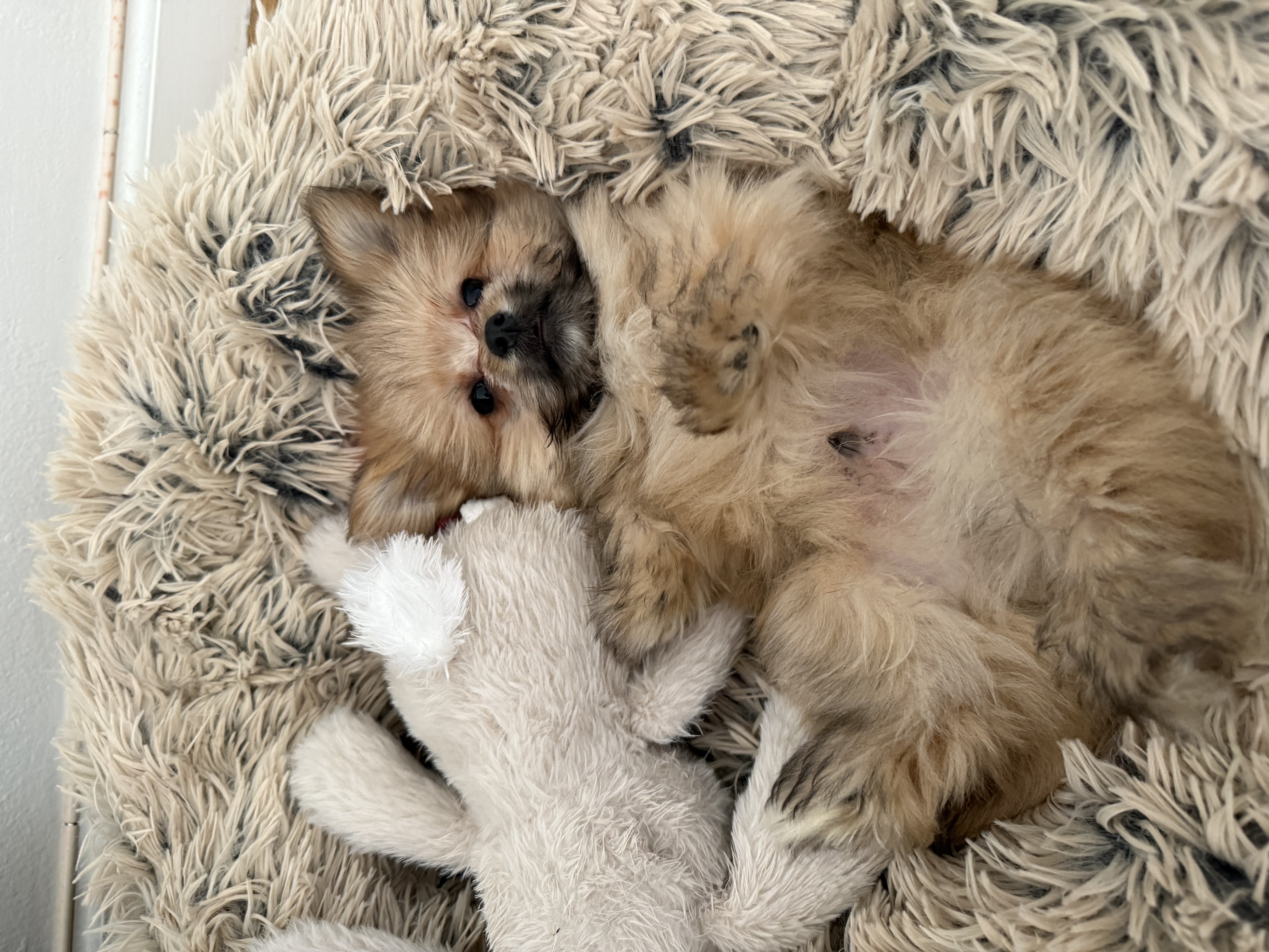 Photo Review Submission from Ingrid Funez Rodas