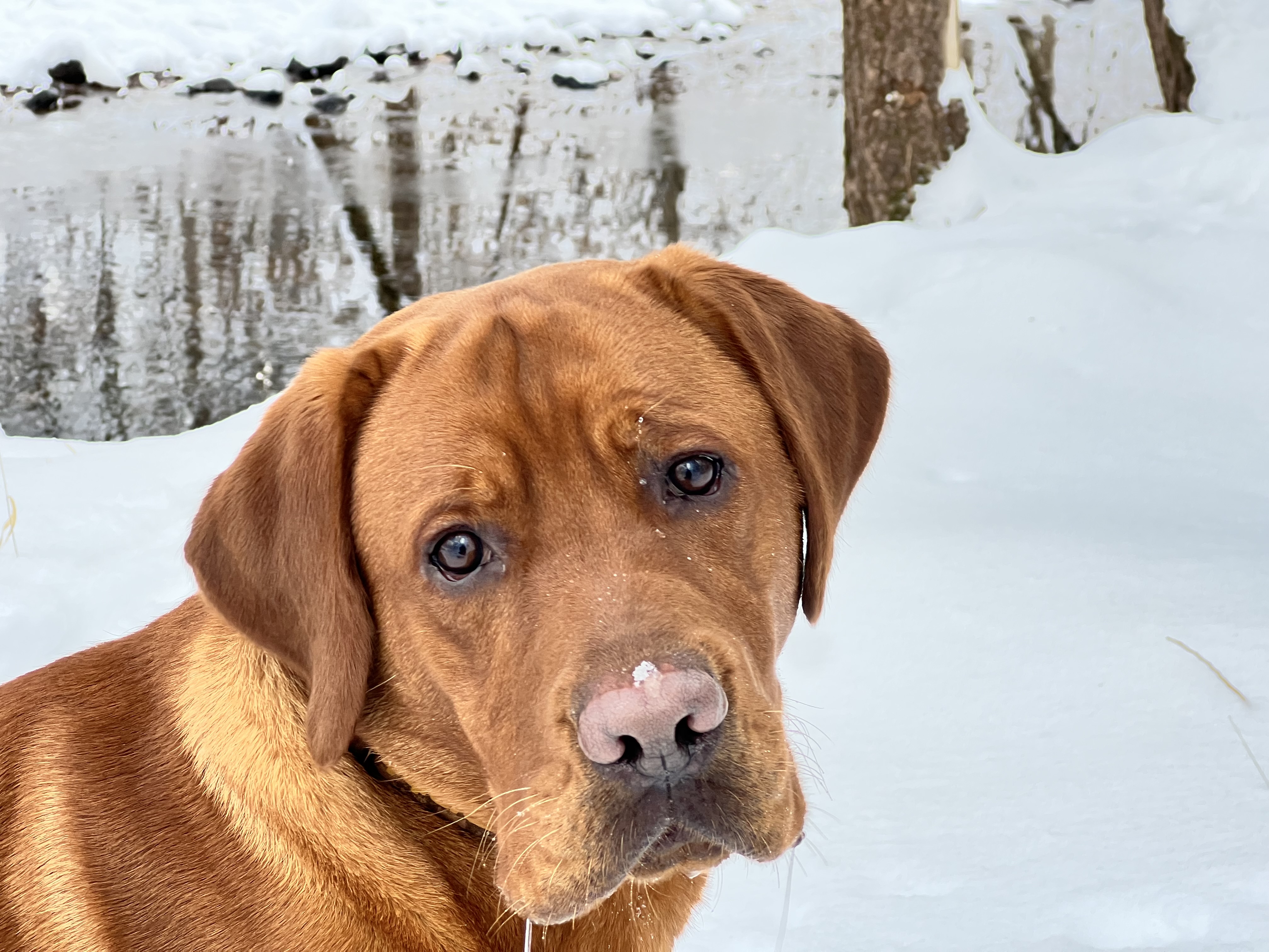 Photo Review Submission from Nicole V