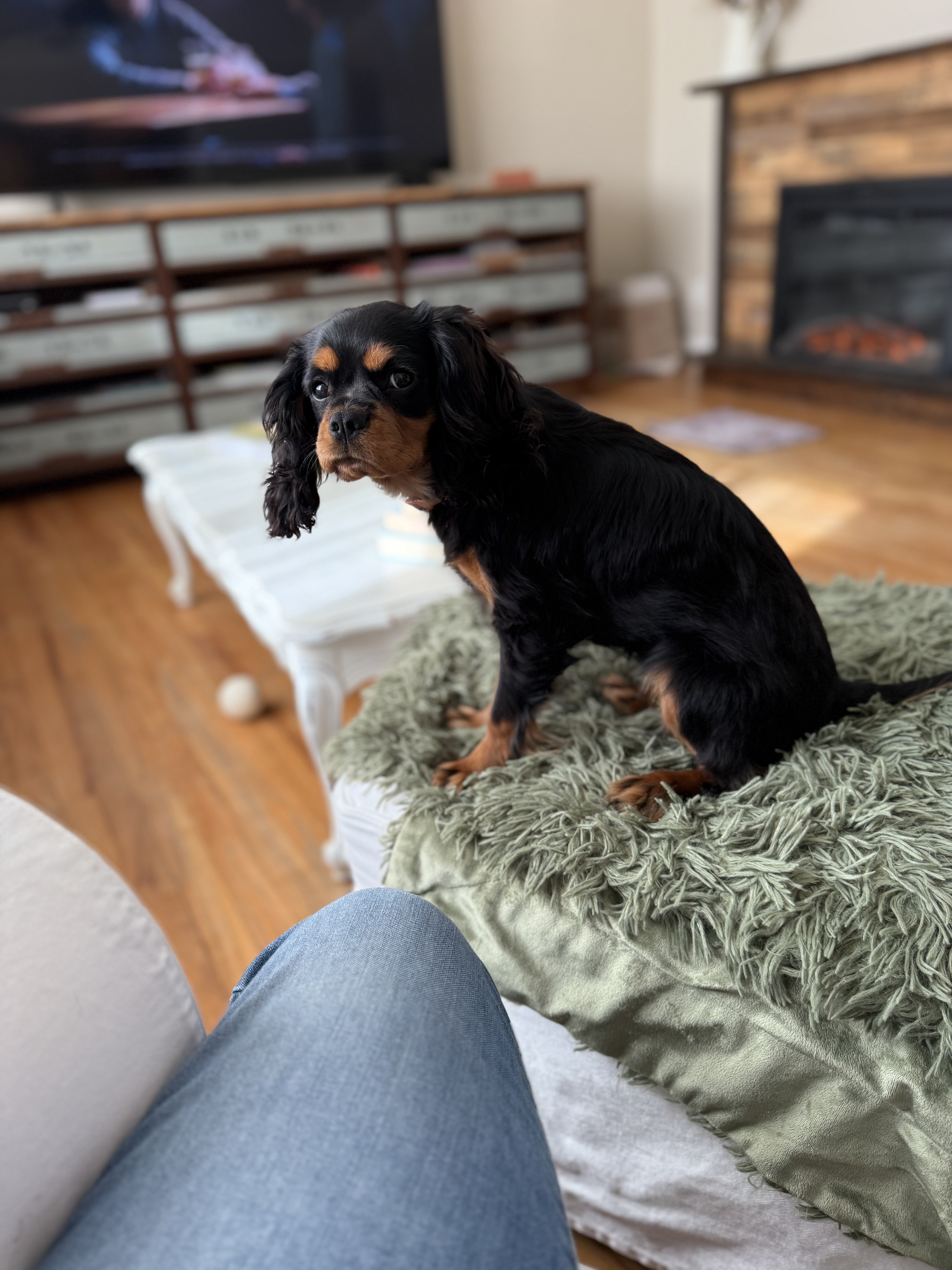 Photo Review Submission from Judith Vacchiano