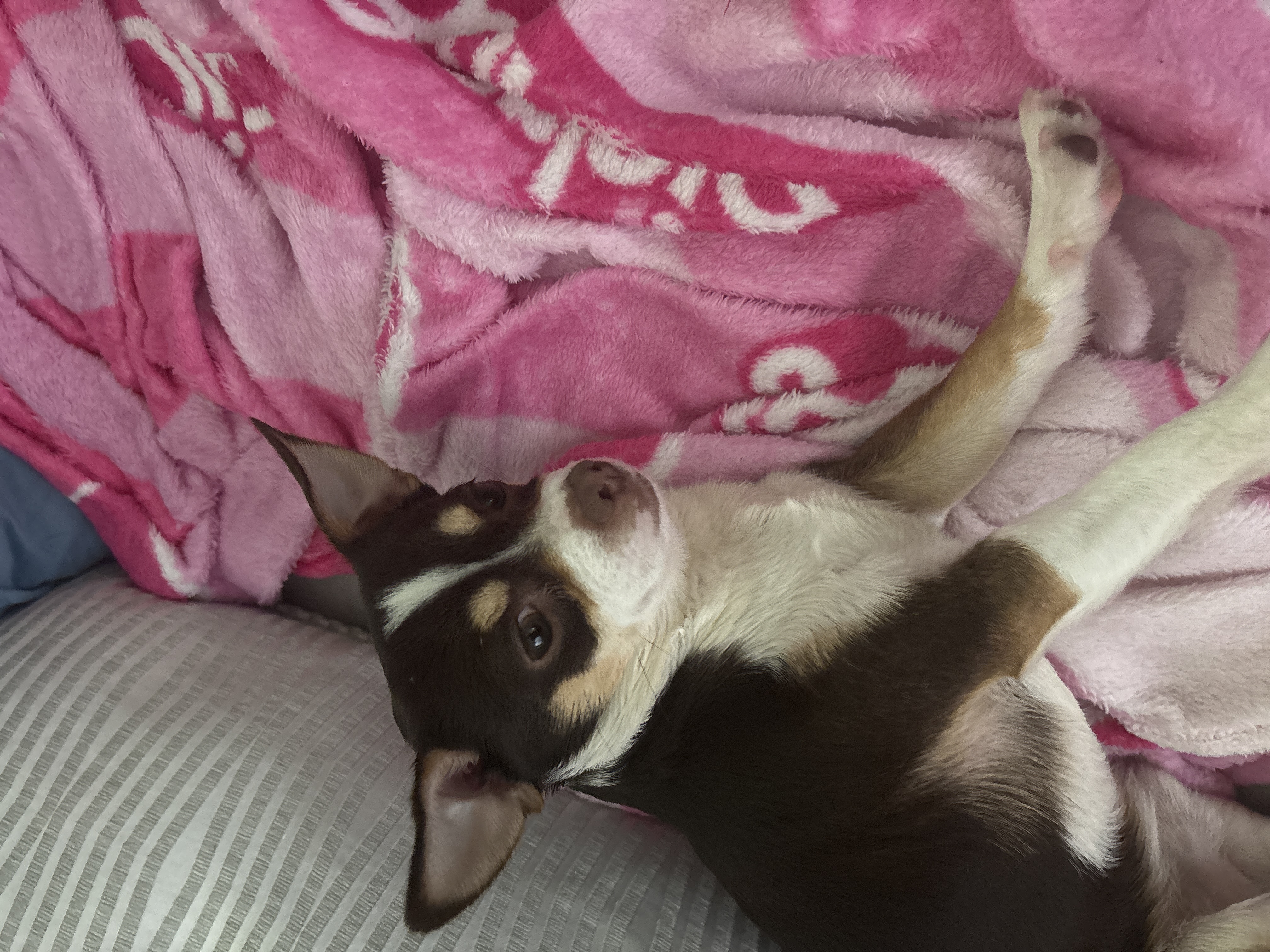 Photo Review Submission from Otto Angel