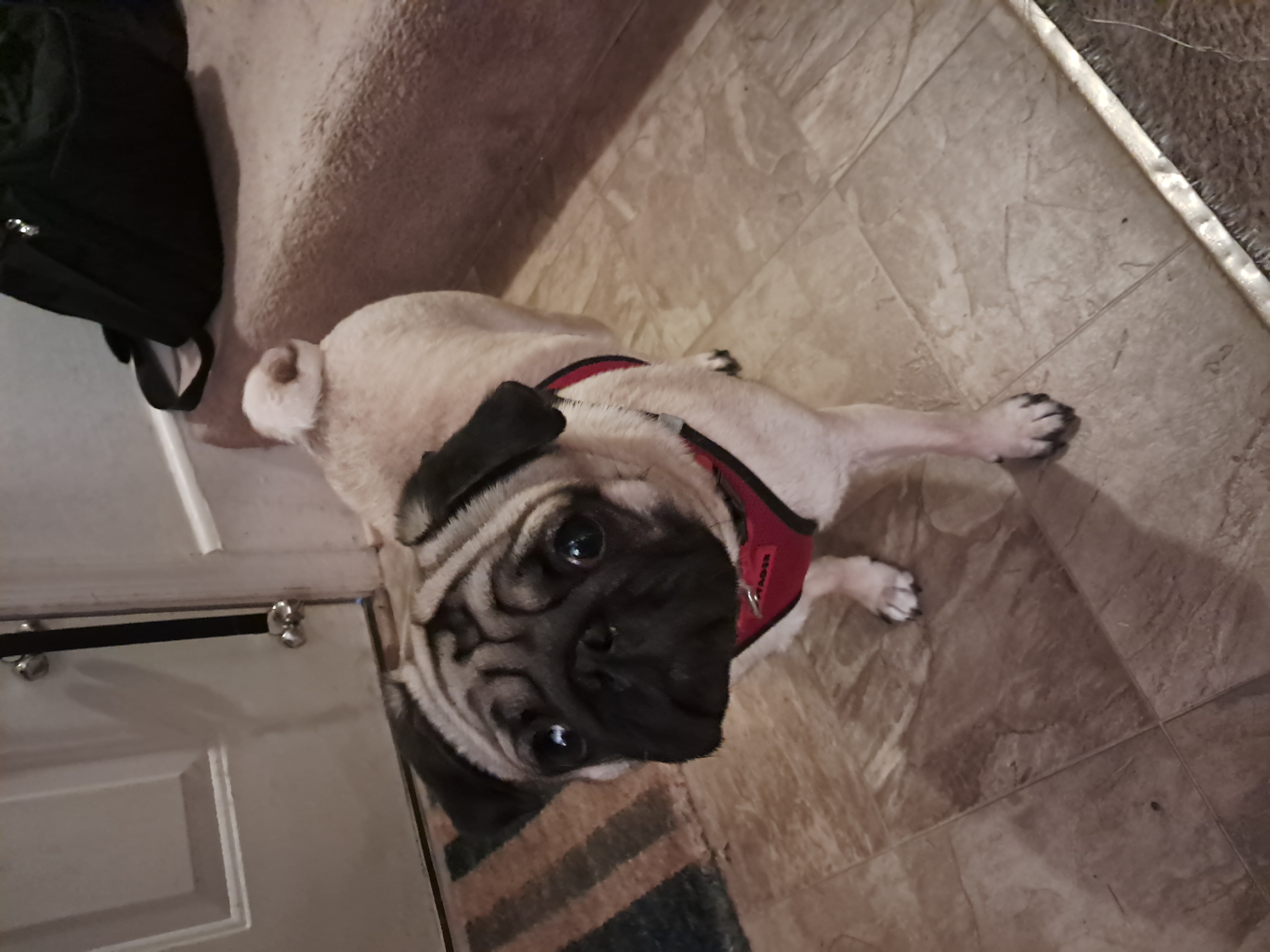 Photo Review Submission from Jennifer DeFratis