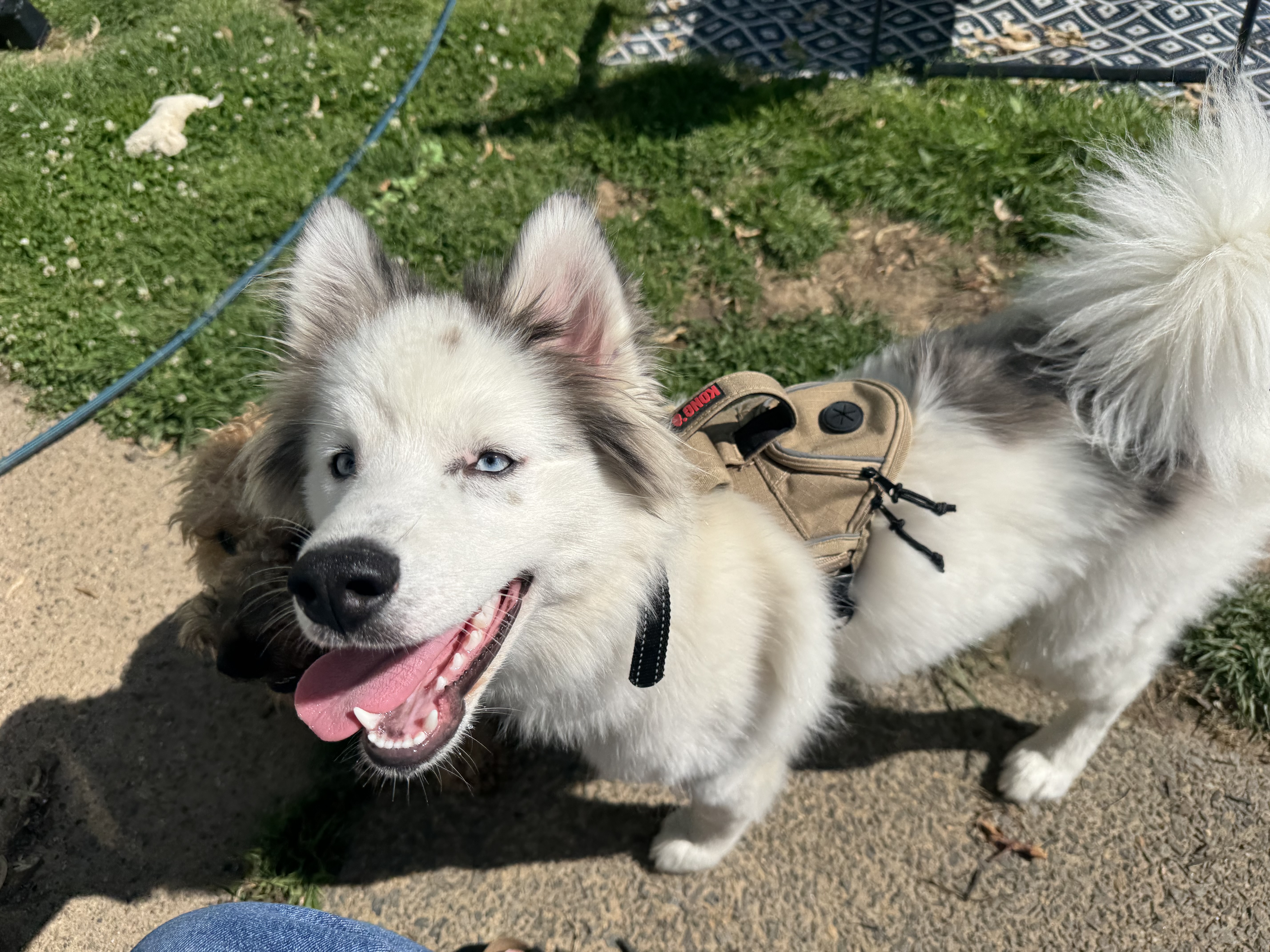 Photo Review Submission from Shelby H