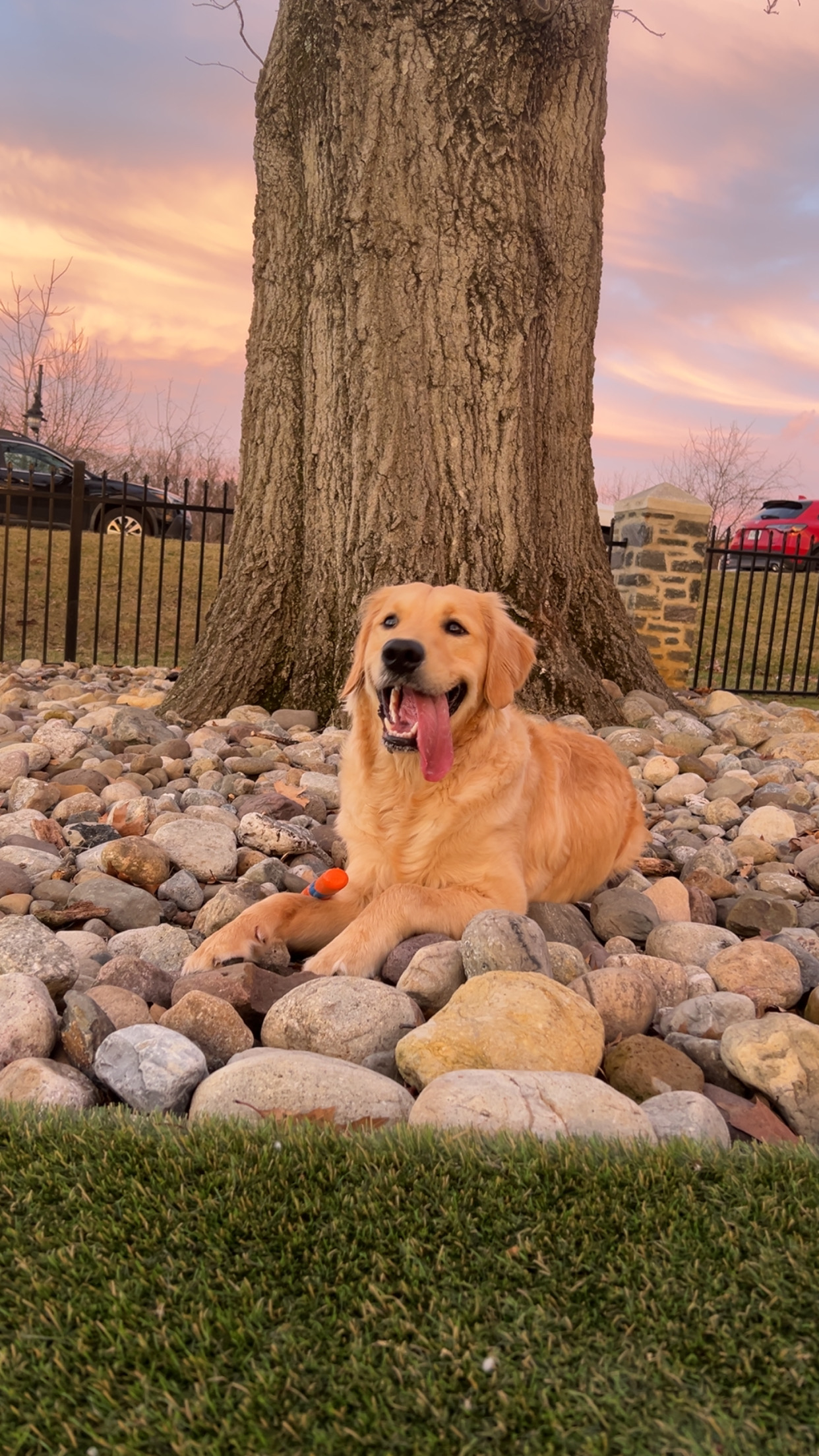 Photo Review Submission from alyssa saunders