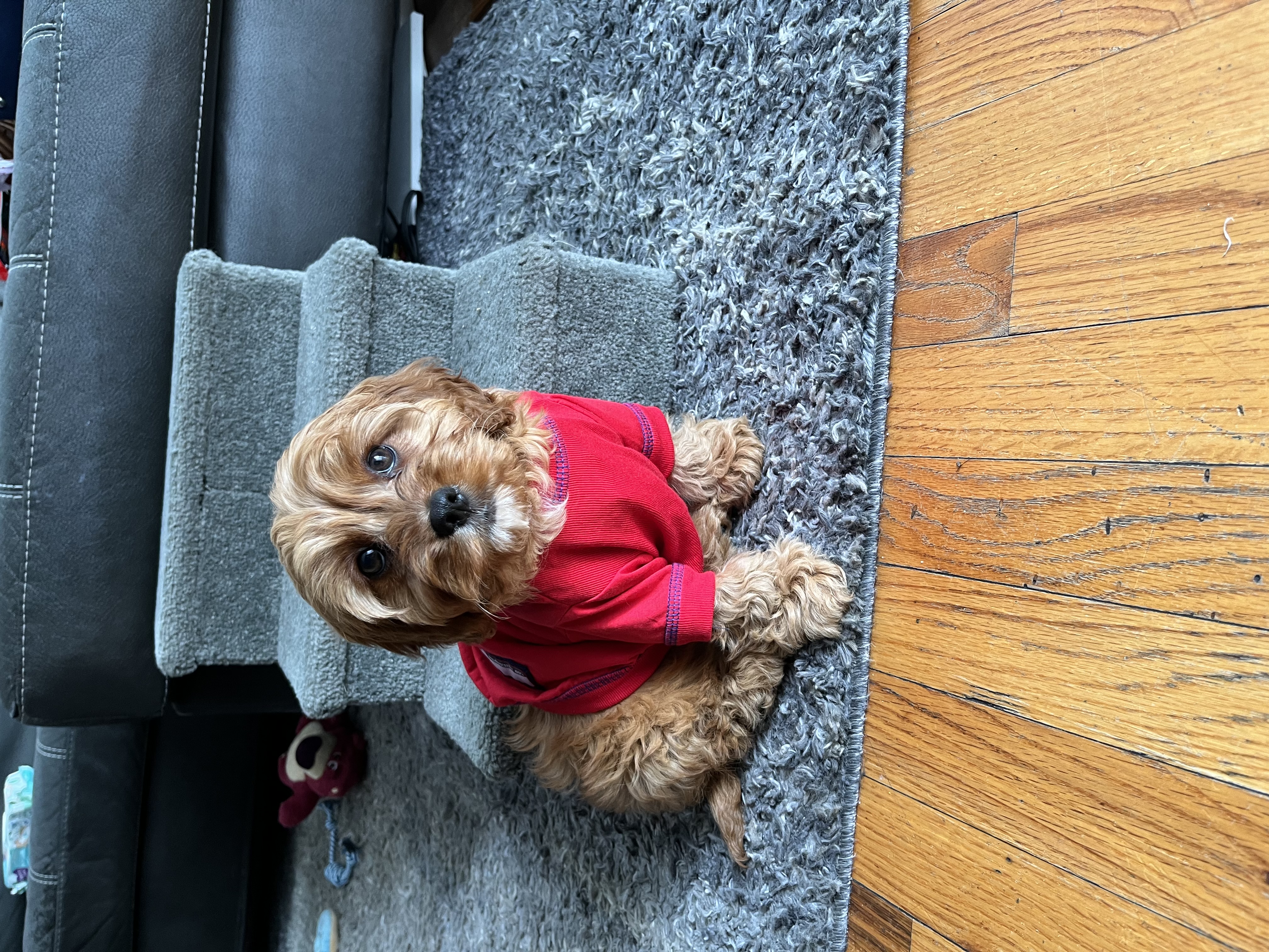 Photo Review Submission from Ava cifelli