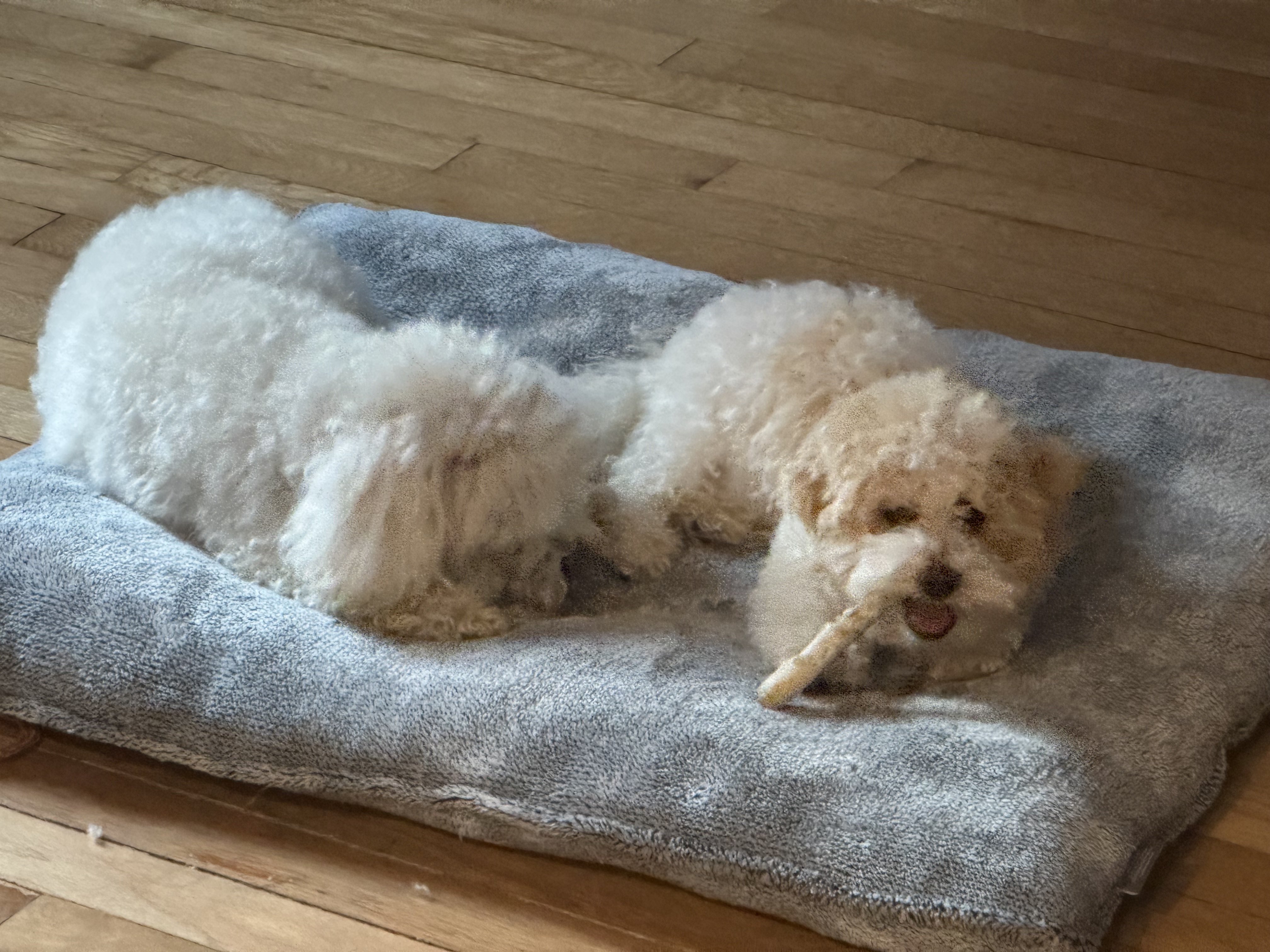 Photo Review Submission from Katherine KESTENBAUM