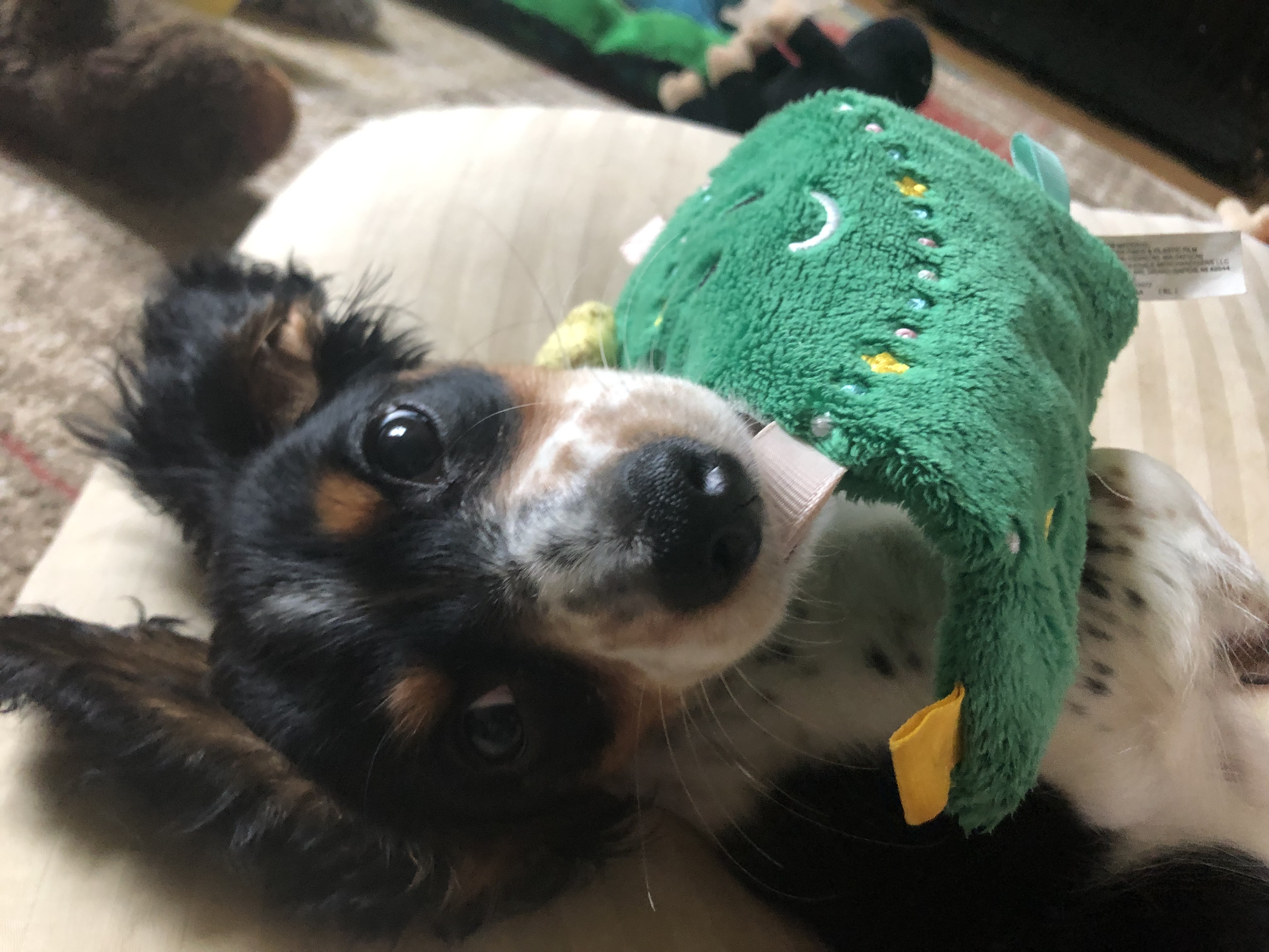 Photo Review Submission from Victoria H