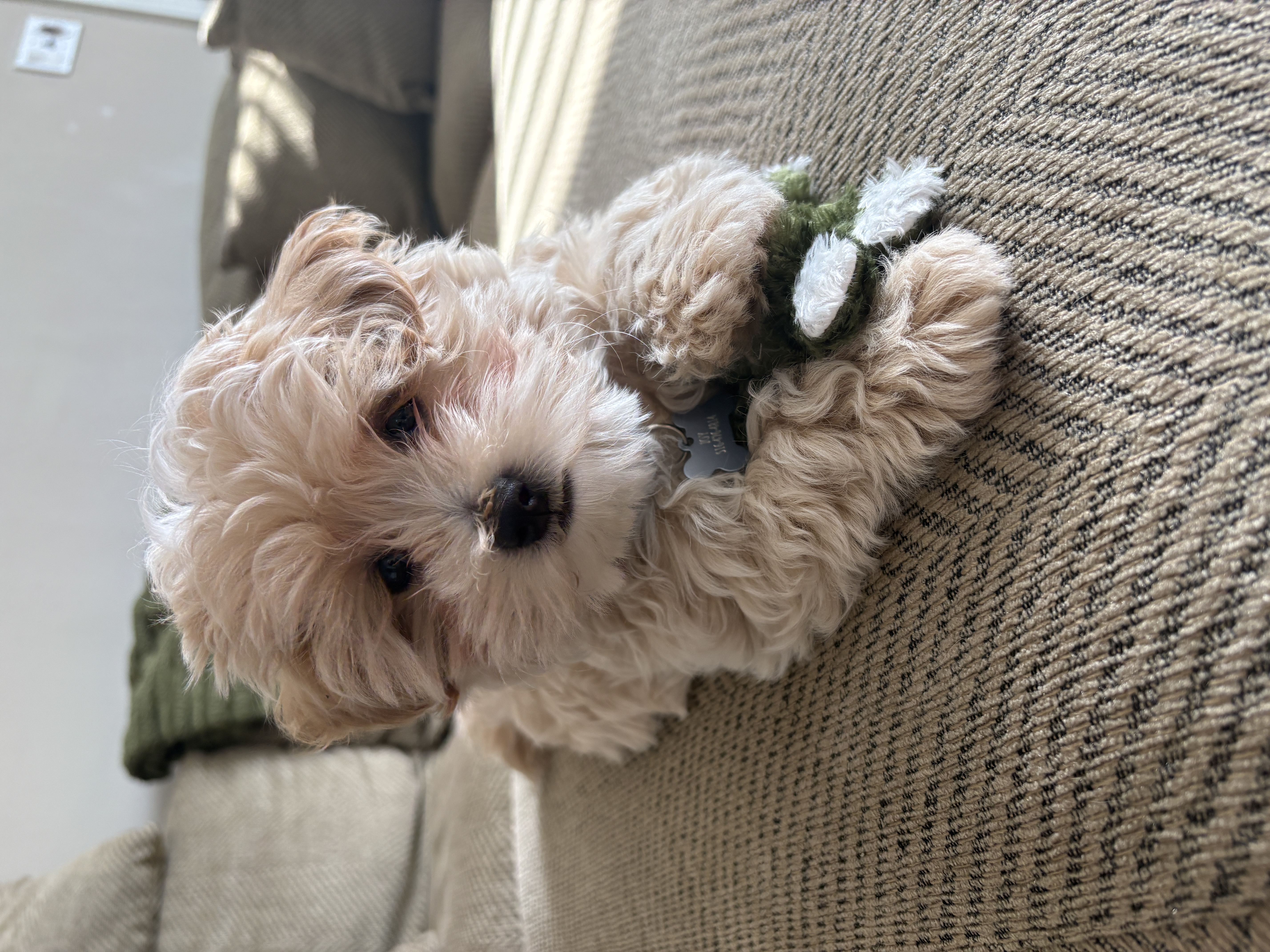 Photo Review Submission from Joy R