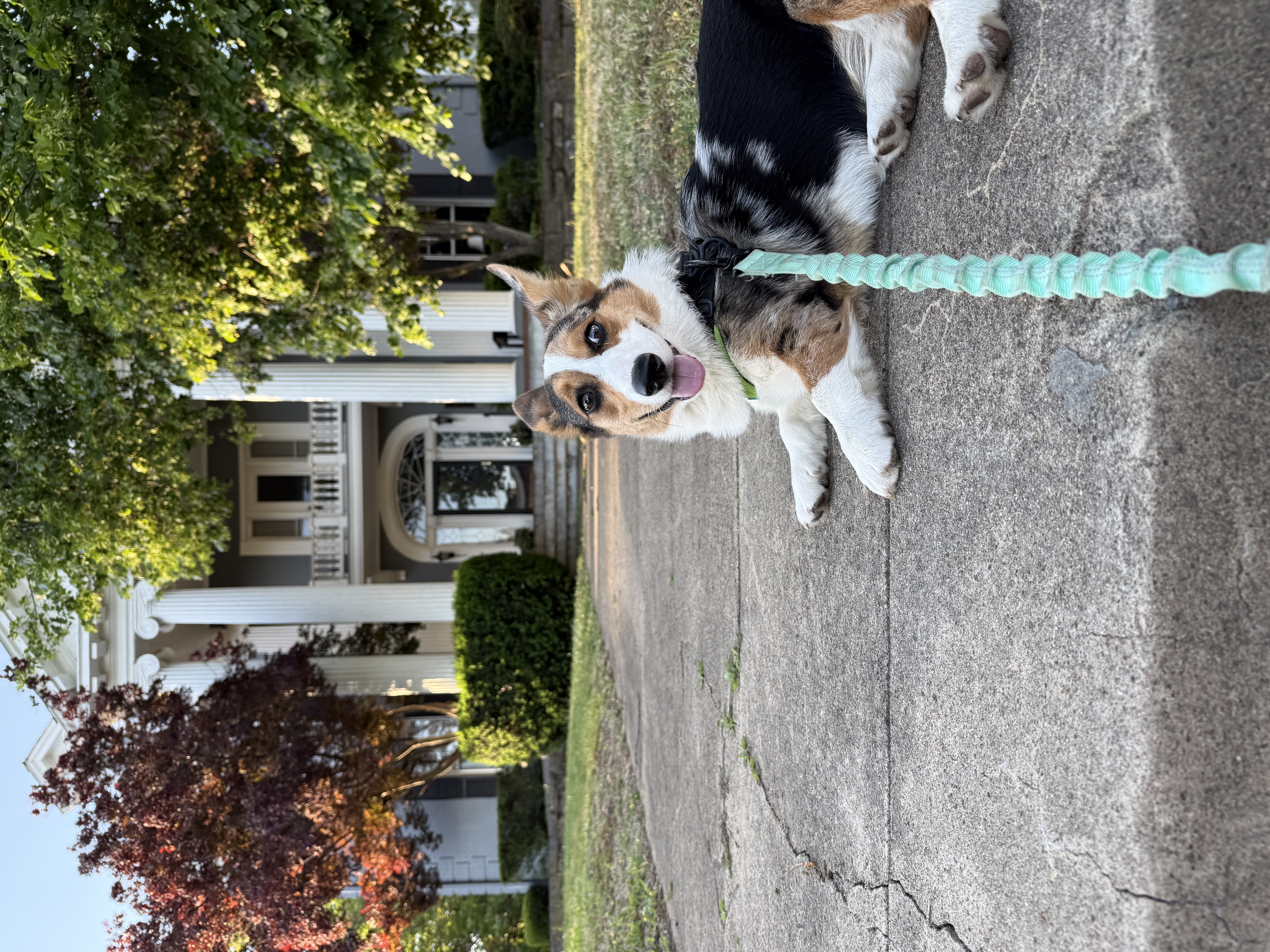 Photo Review Submission from Hailey Walker