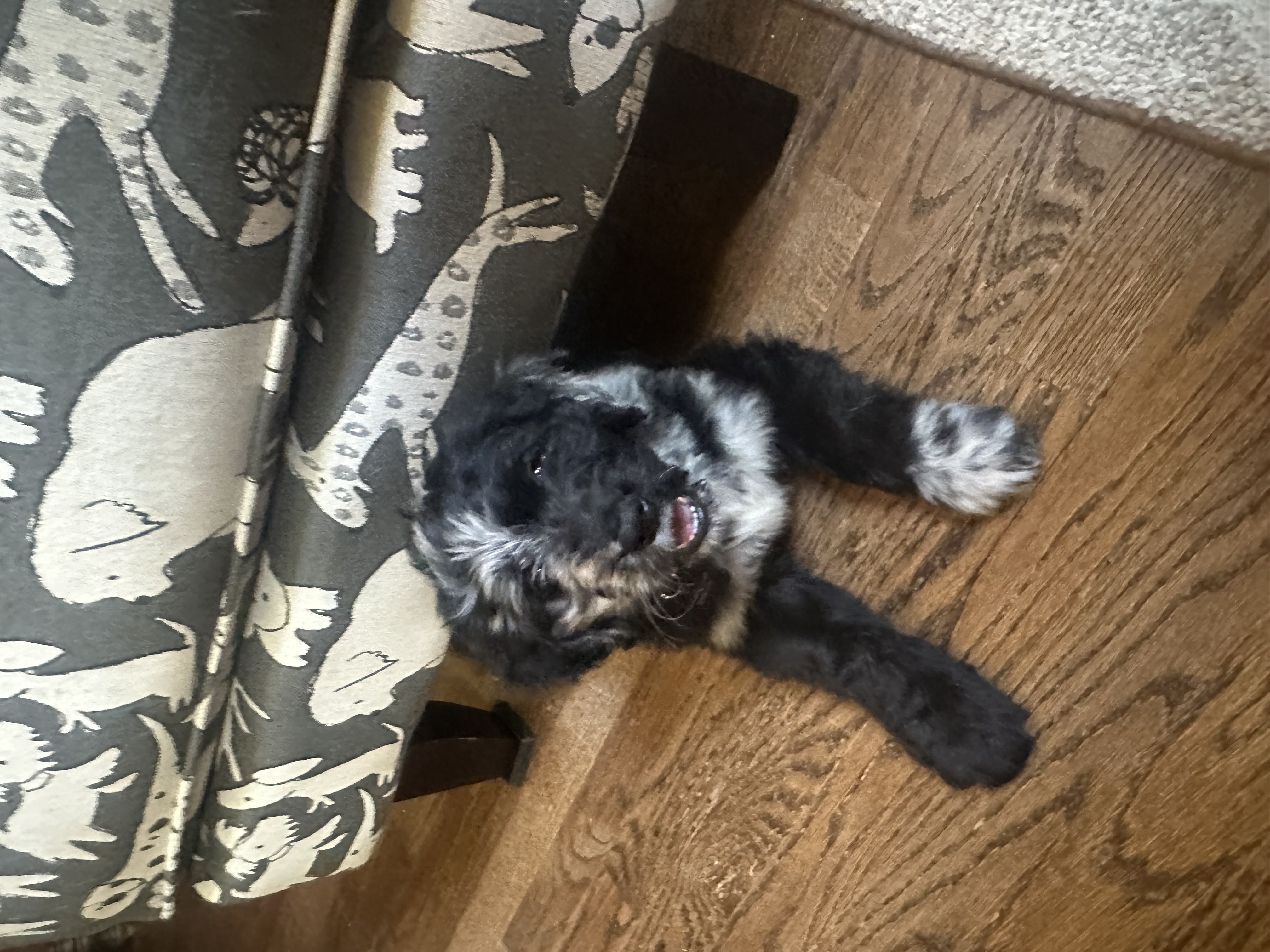 Photo Review Submission from Tracey Burhop