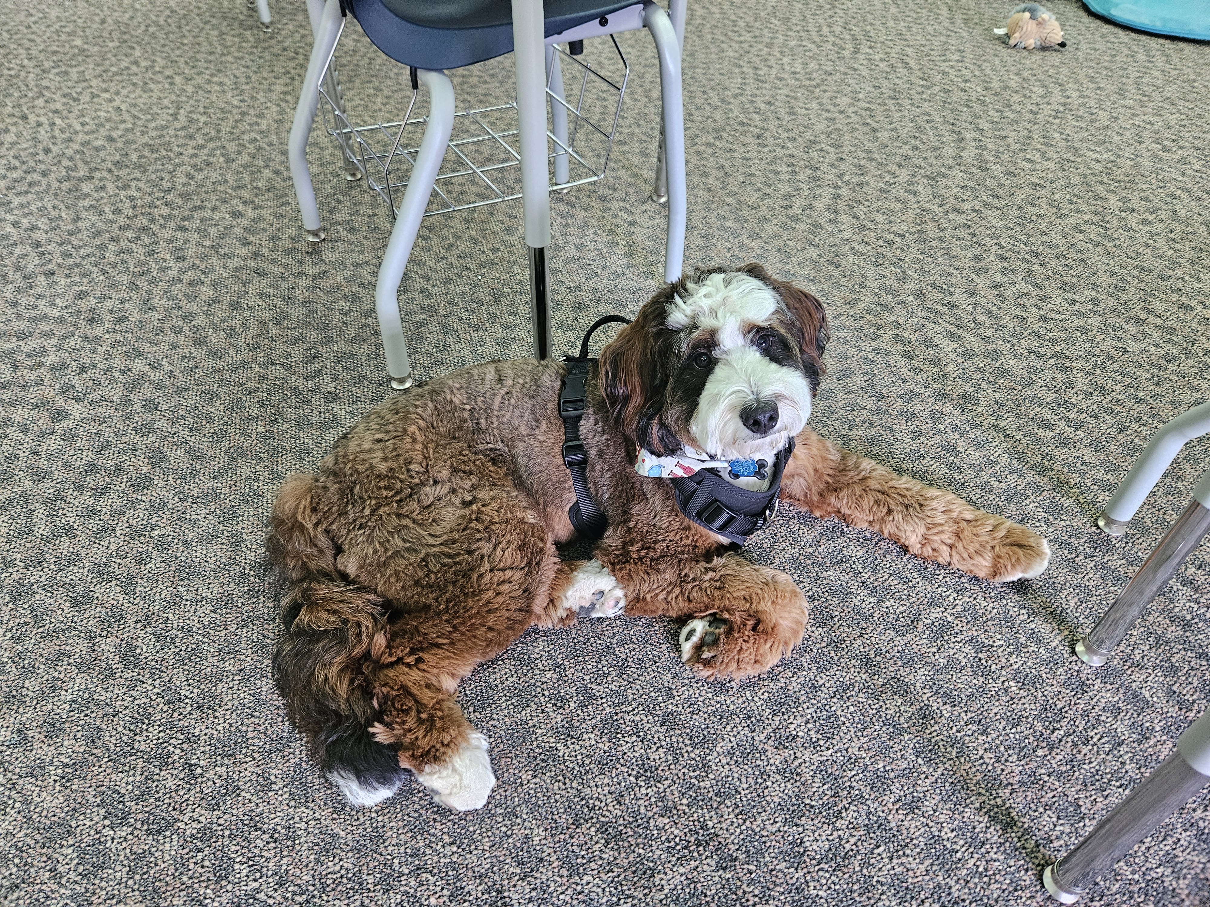 Photo Review Submission from Megan Cherubino