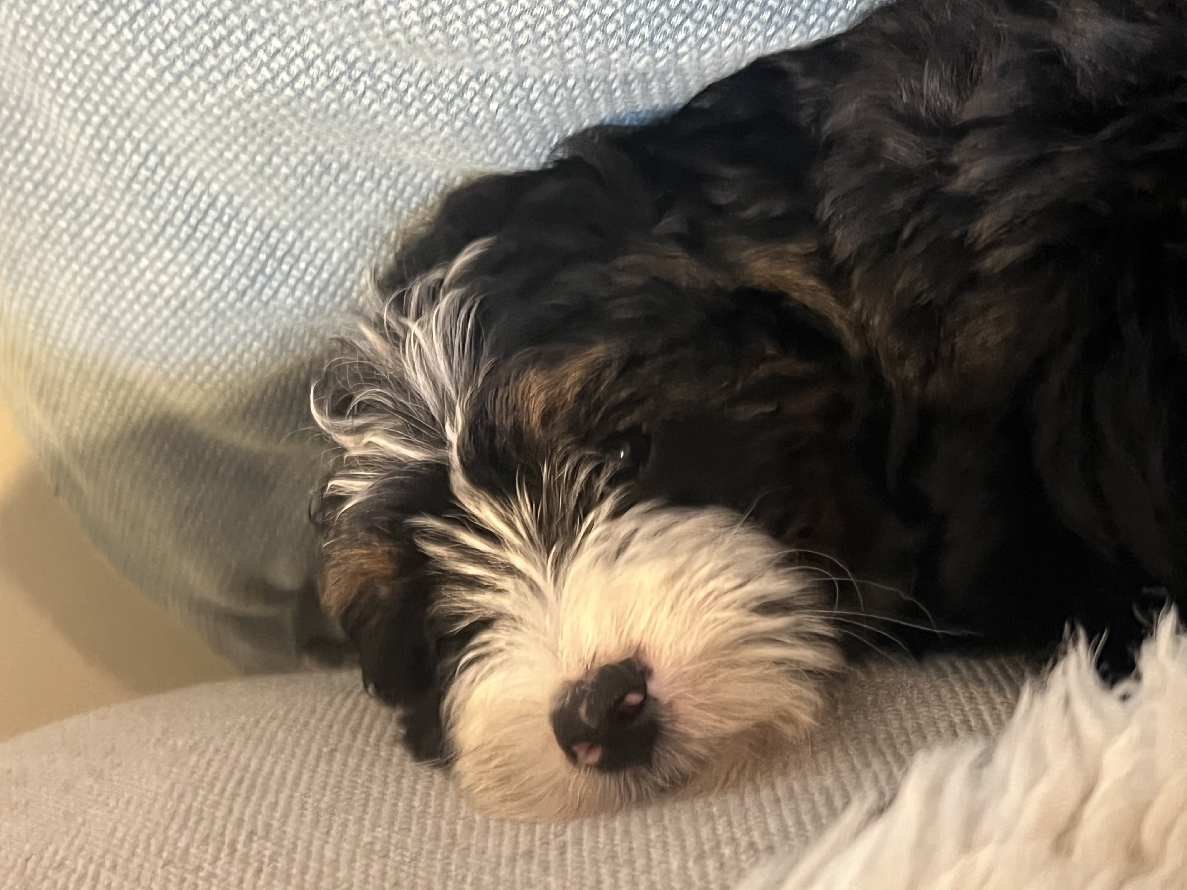 Photo Review Submission from Kathy West