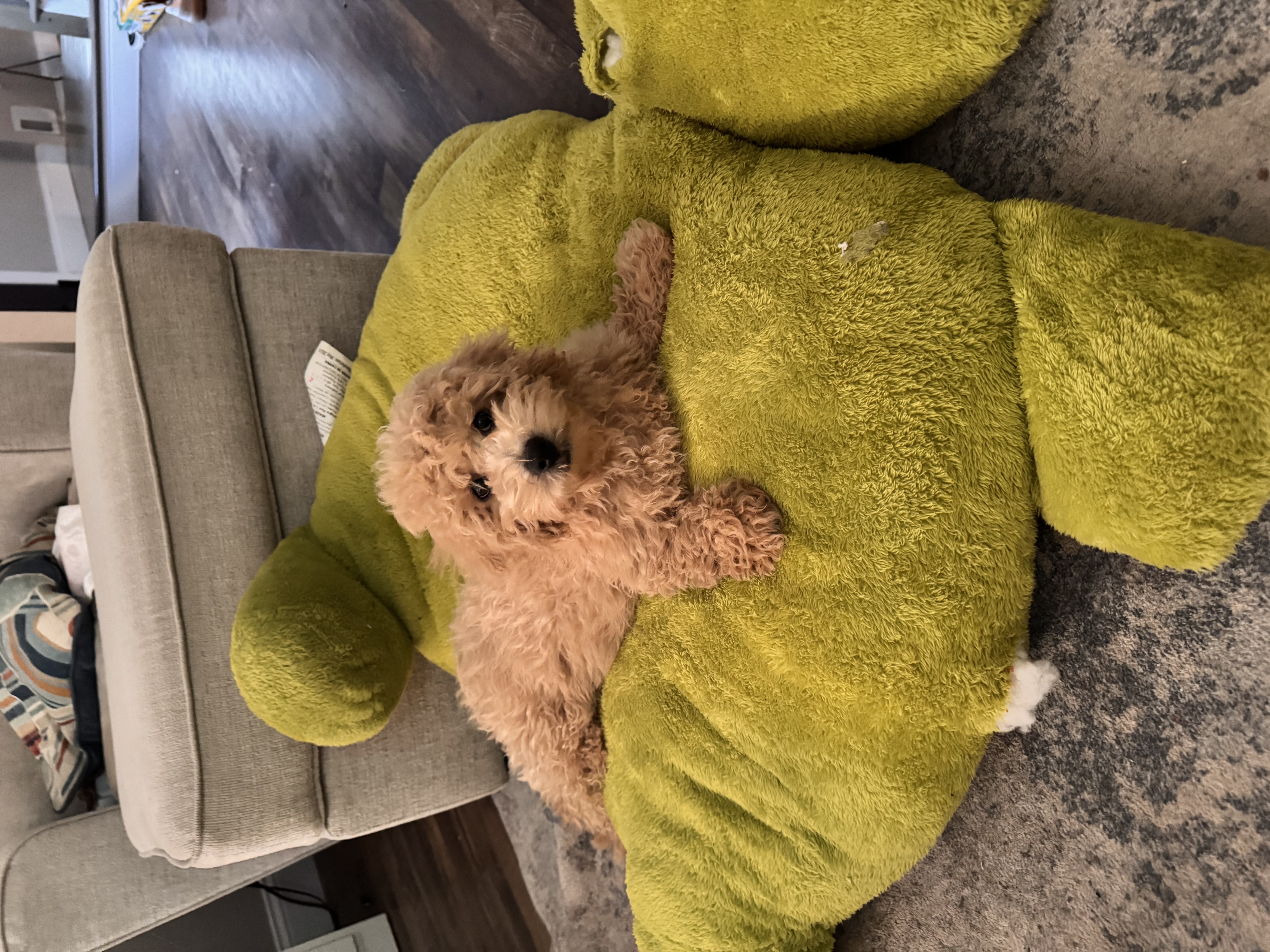 Photo Review Submission from Adrianna D