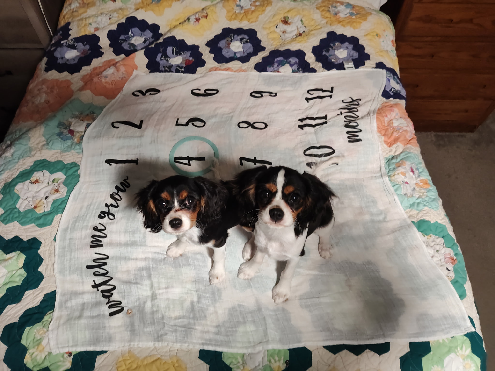 Photo Review Submission from Theresa Wright