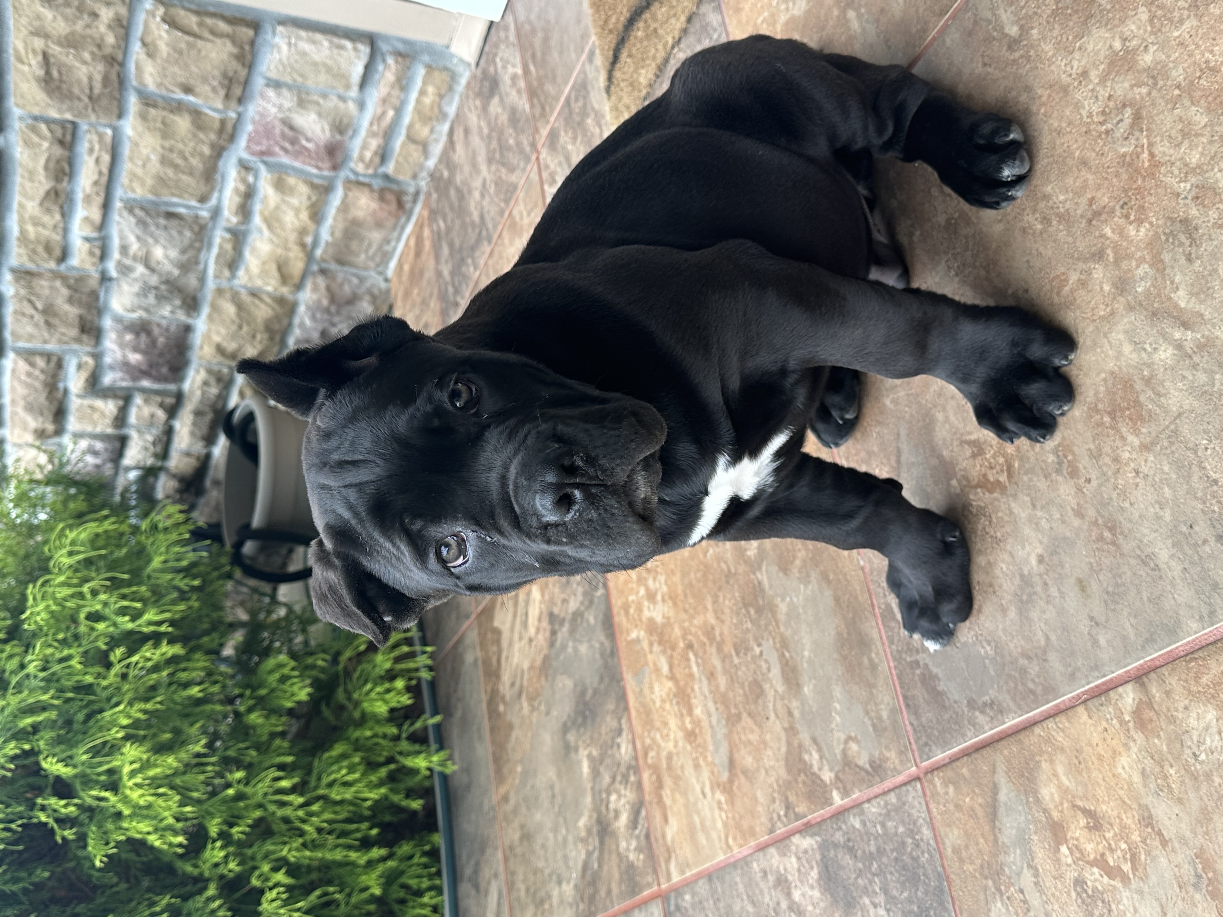 Photo Review Submission from Halida B