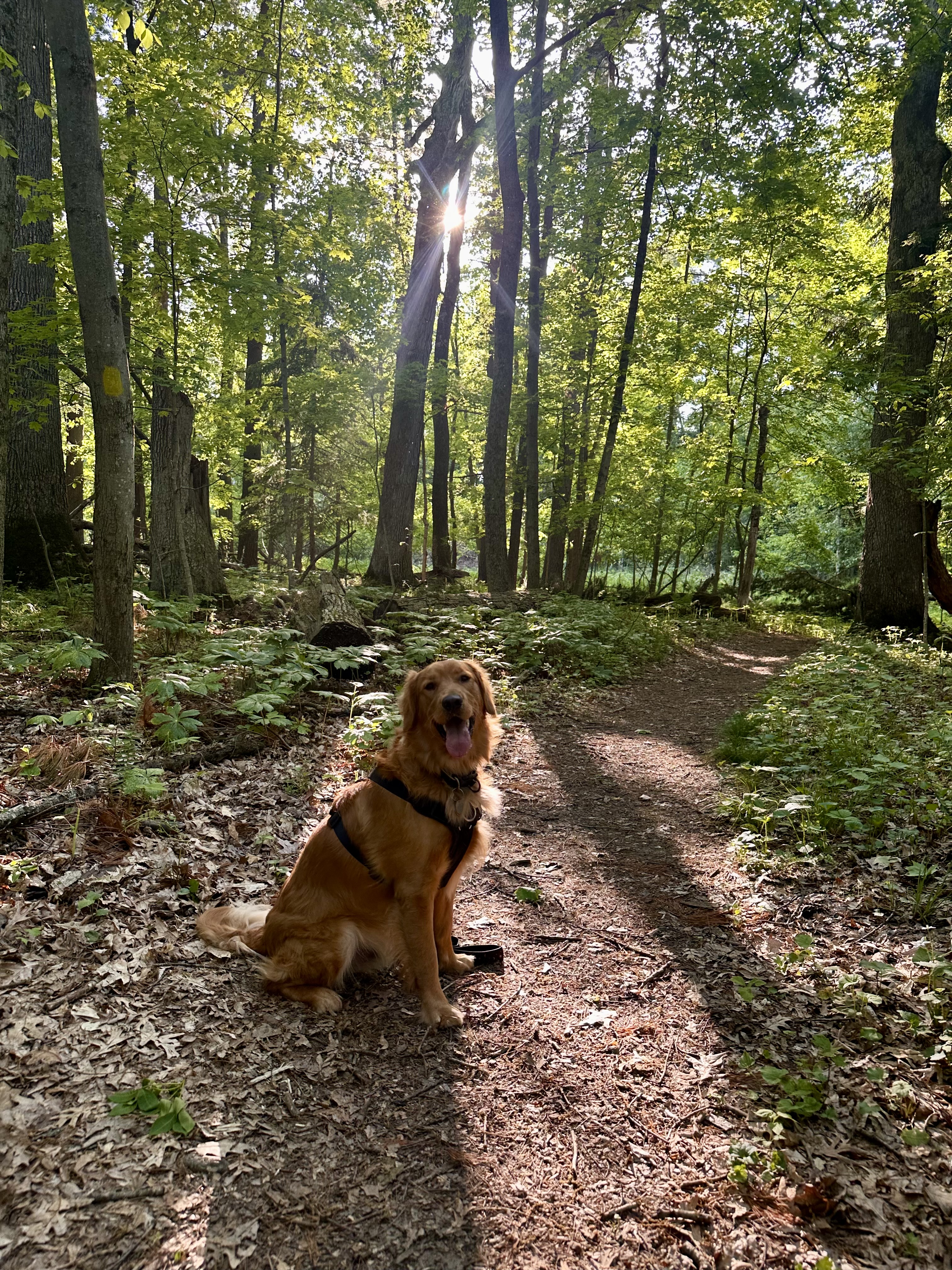 Photo Review Submission from Lily Traver