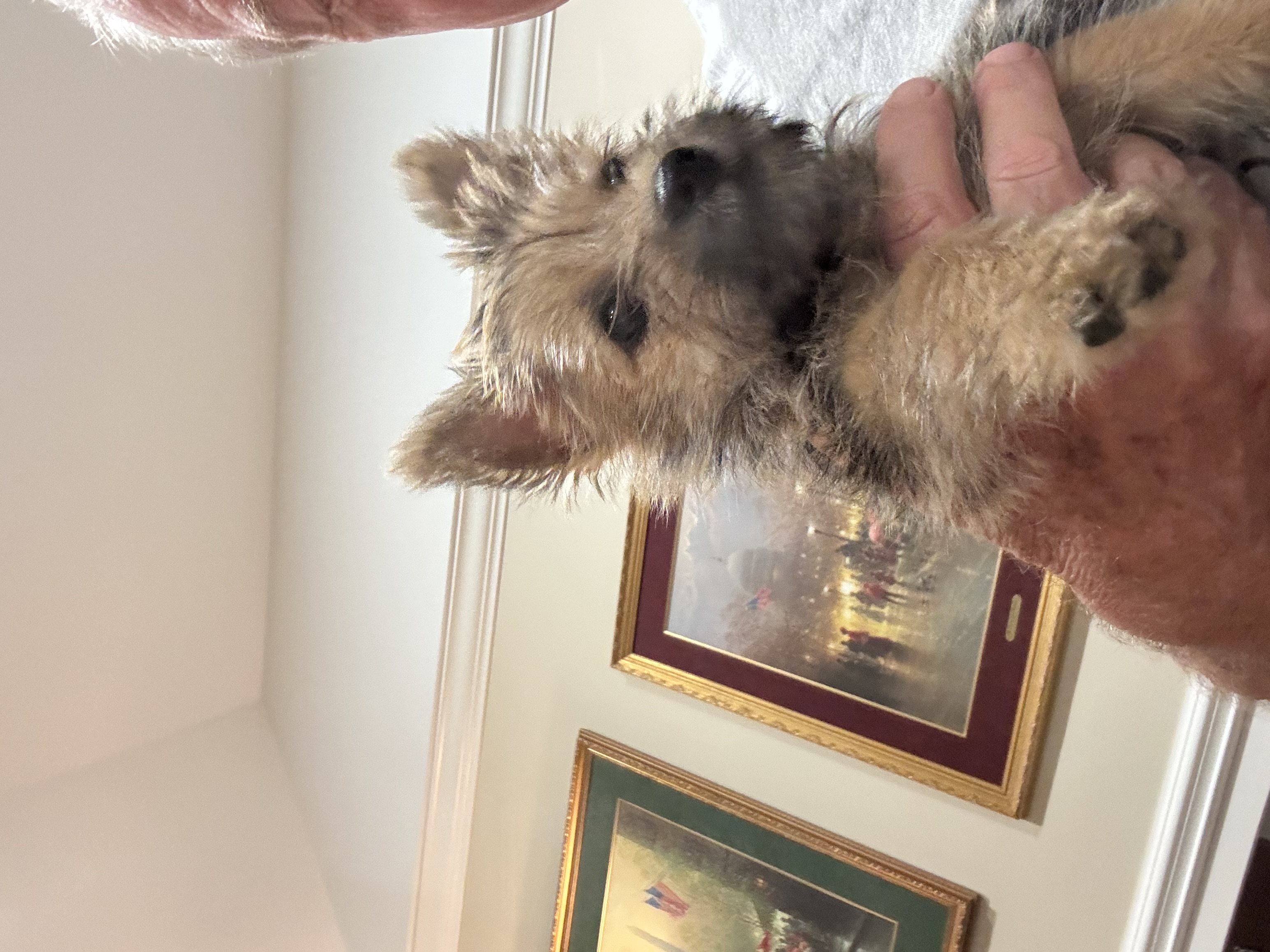 Photo Review Submission from Suzette McGowen