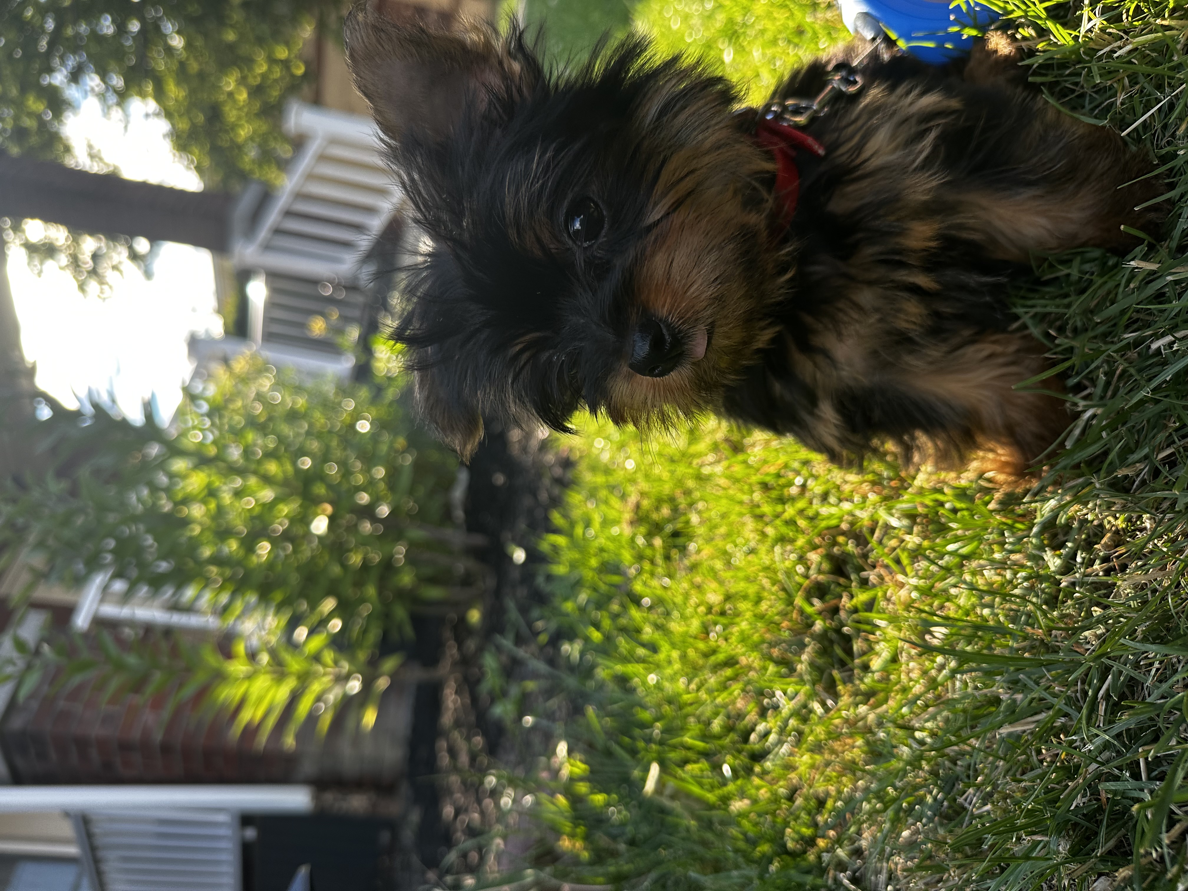 Photo Review Submission from Dilcia Reyes