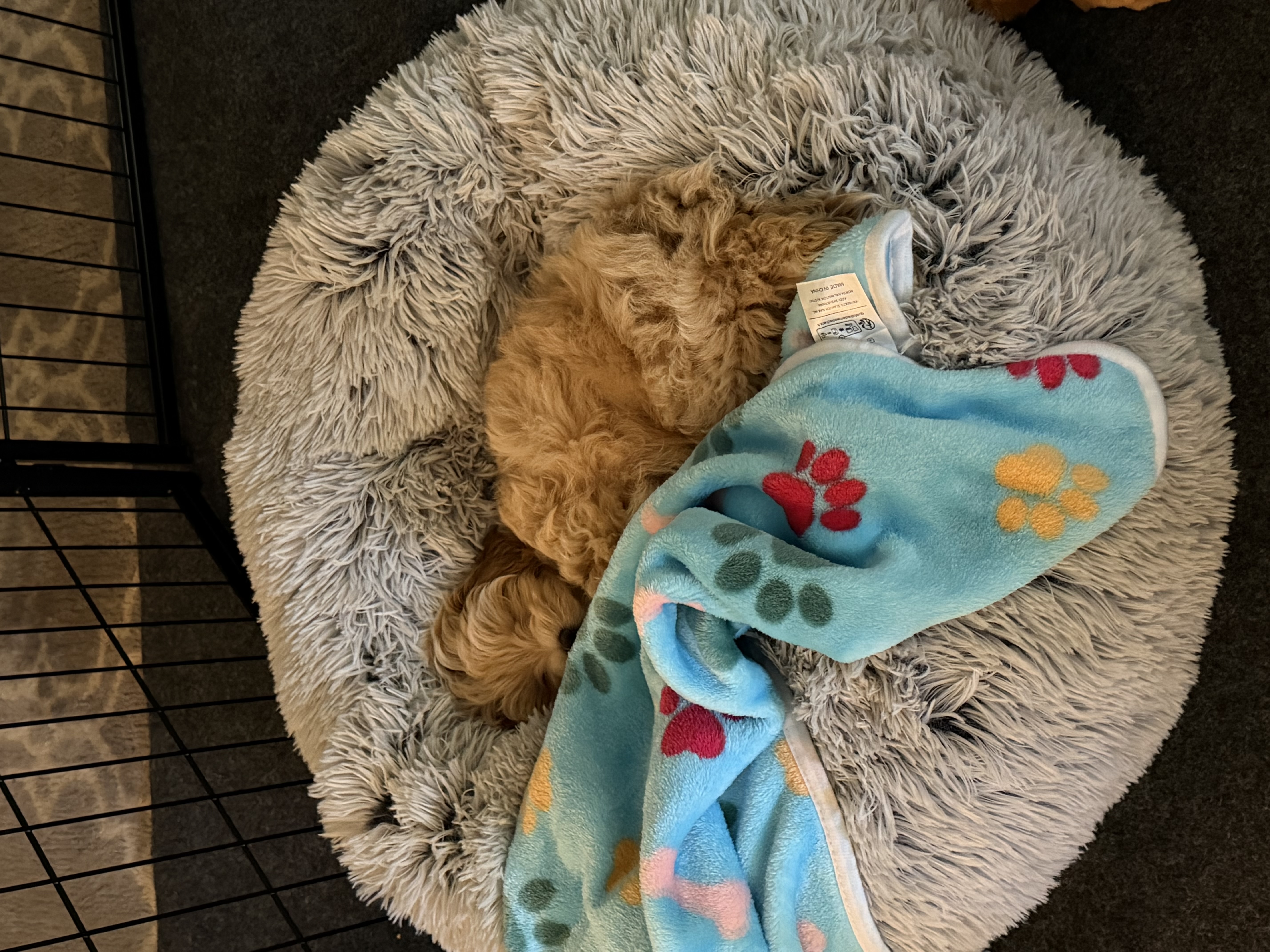 Photo Review Submission from Diane Sloan