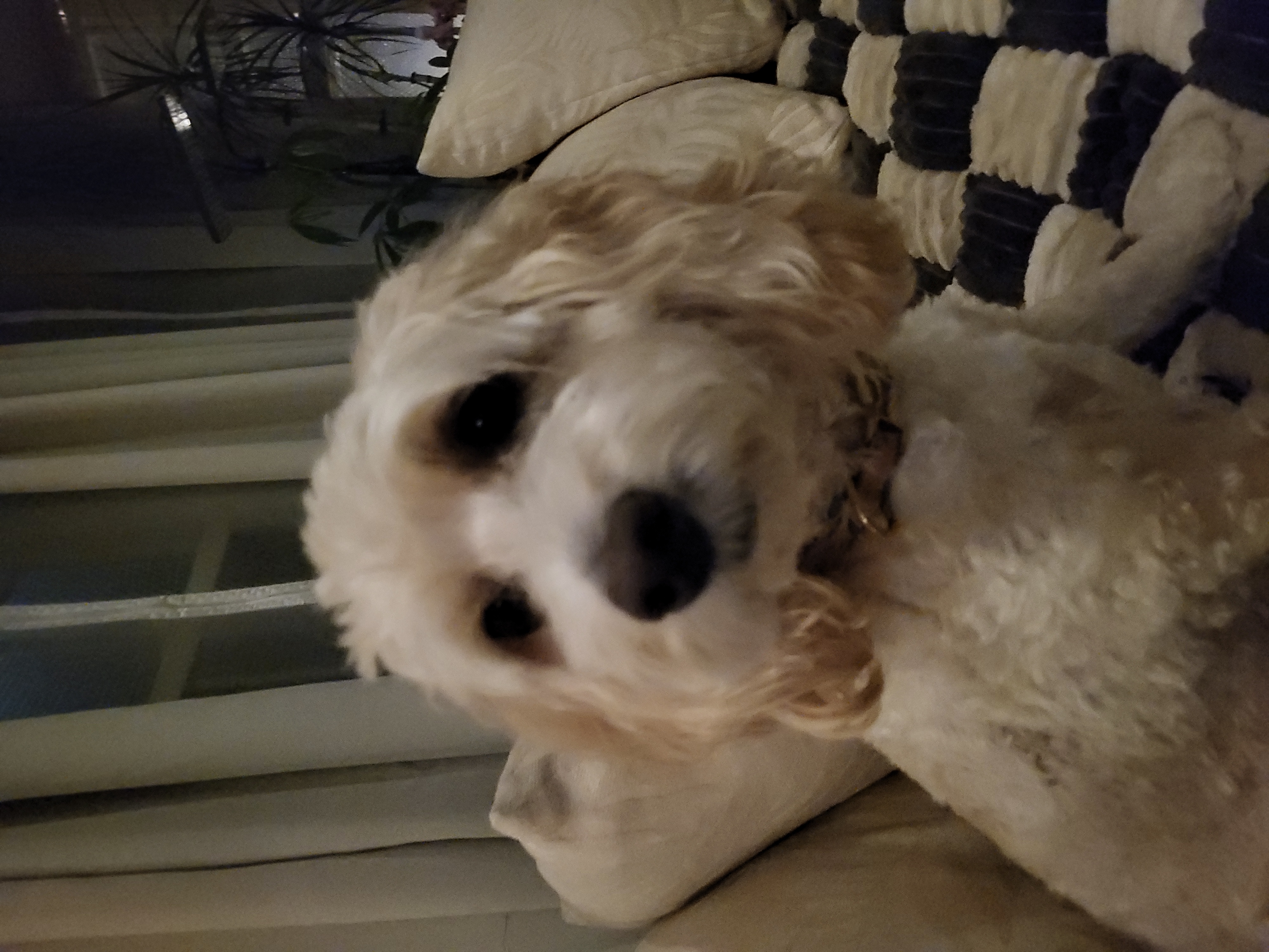 Photo Review Submission from Lisa A Pepitone