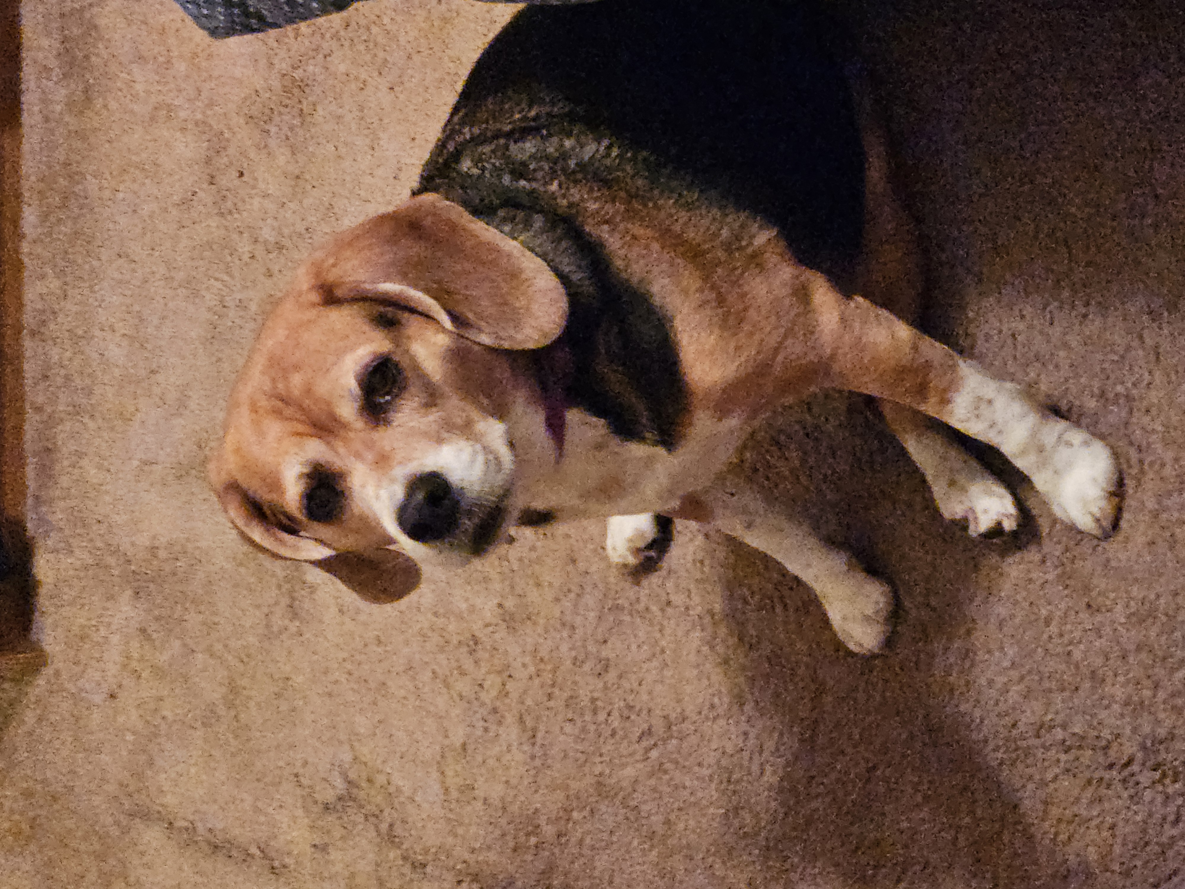 Photo Review Submission from Vicki Abline