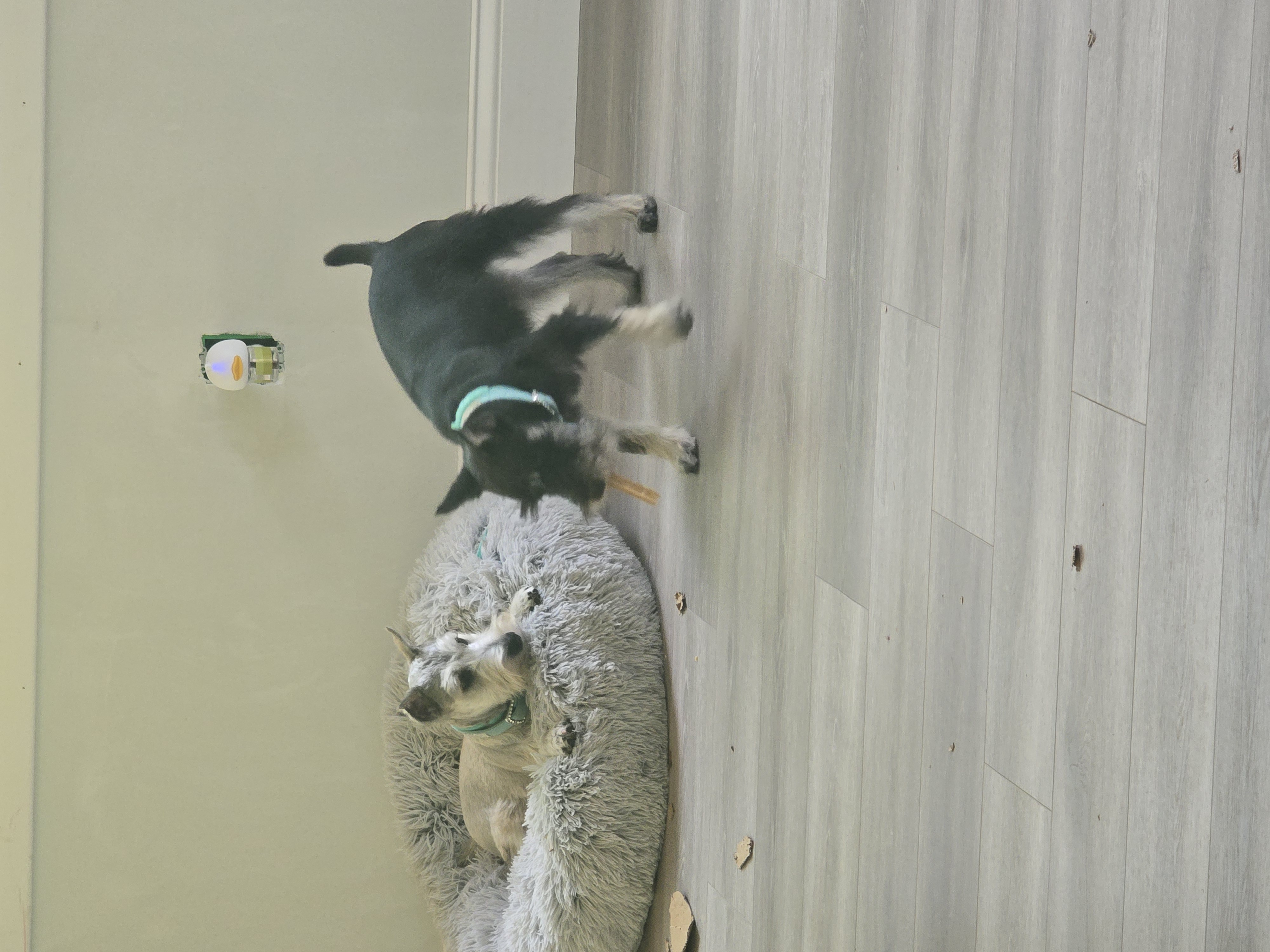 Photo Review Submission from Lee Bennett