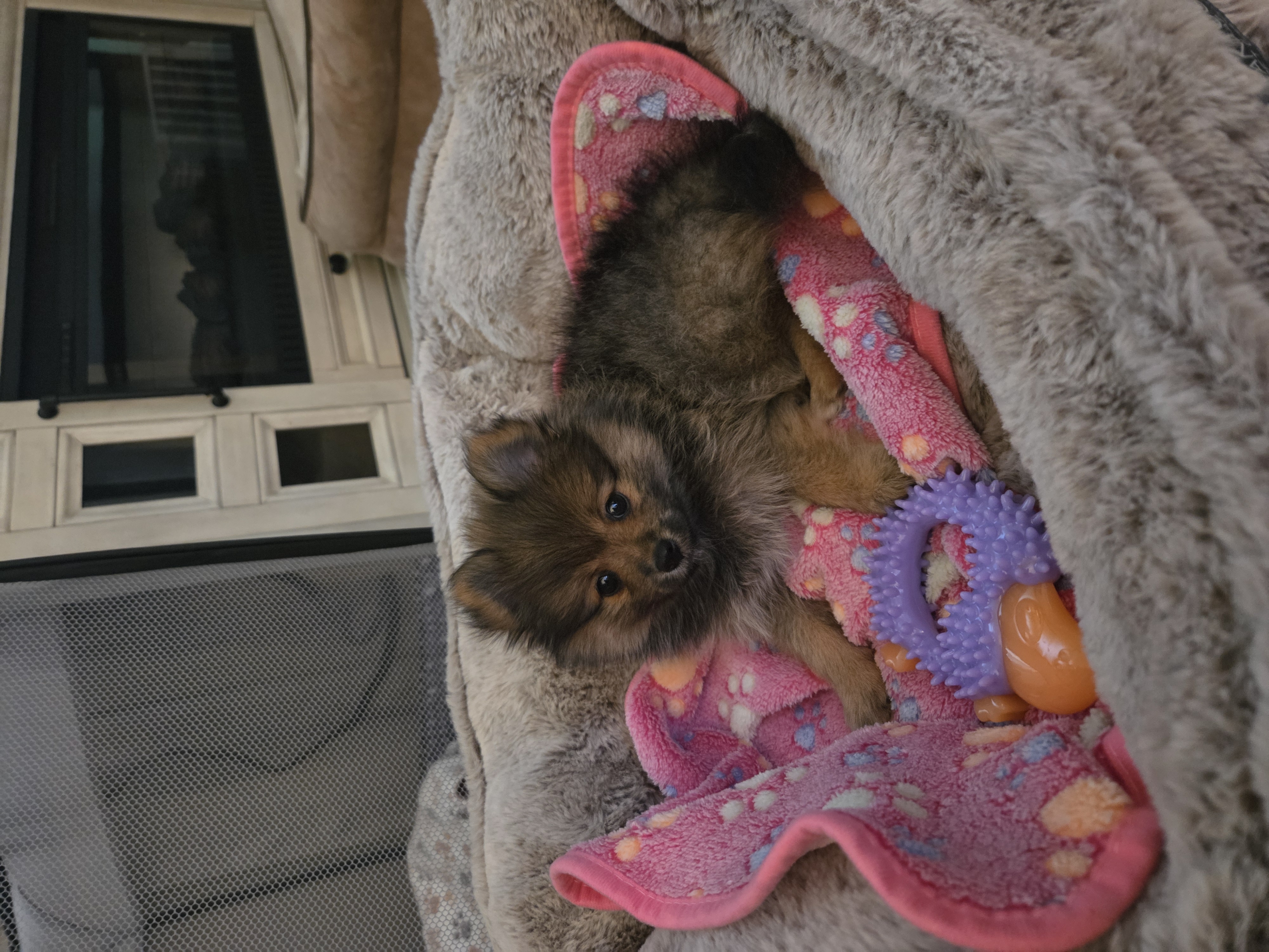 Photo Review Submission from Amber Wilson