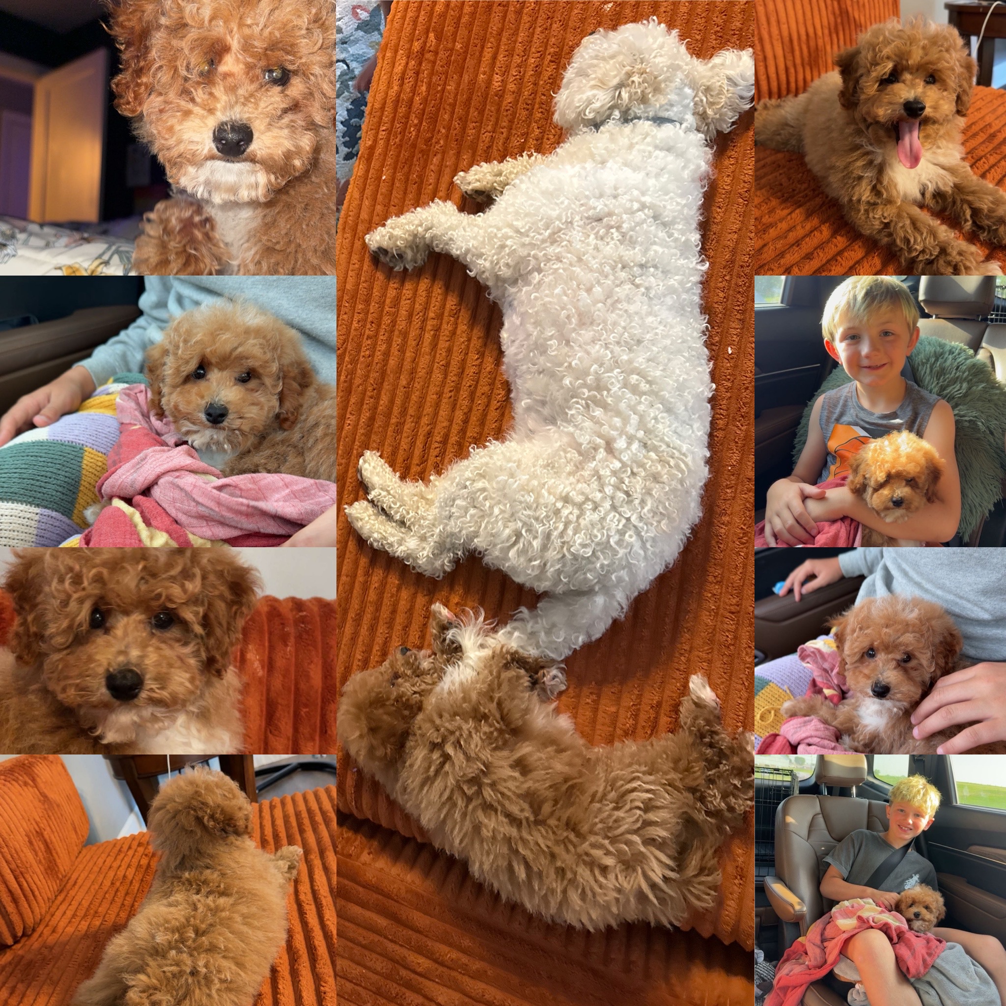 Photo Review Submission from Lauren Bayuk