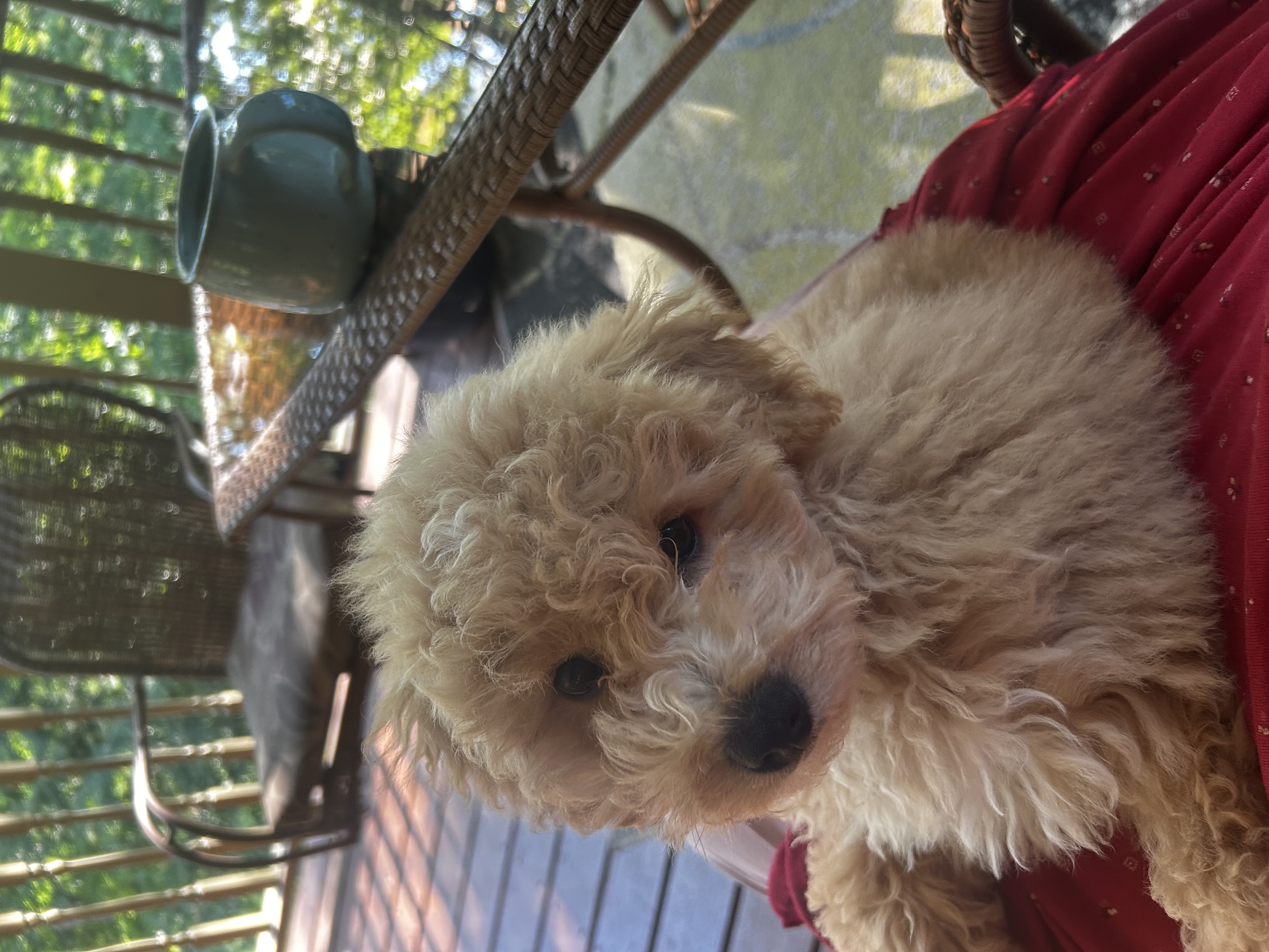 Photo Review Submission from Kim Sears