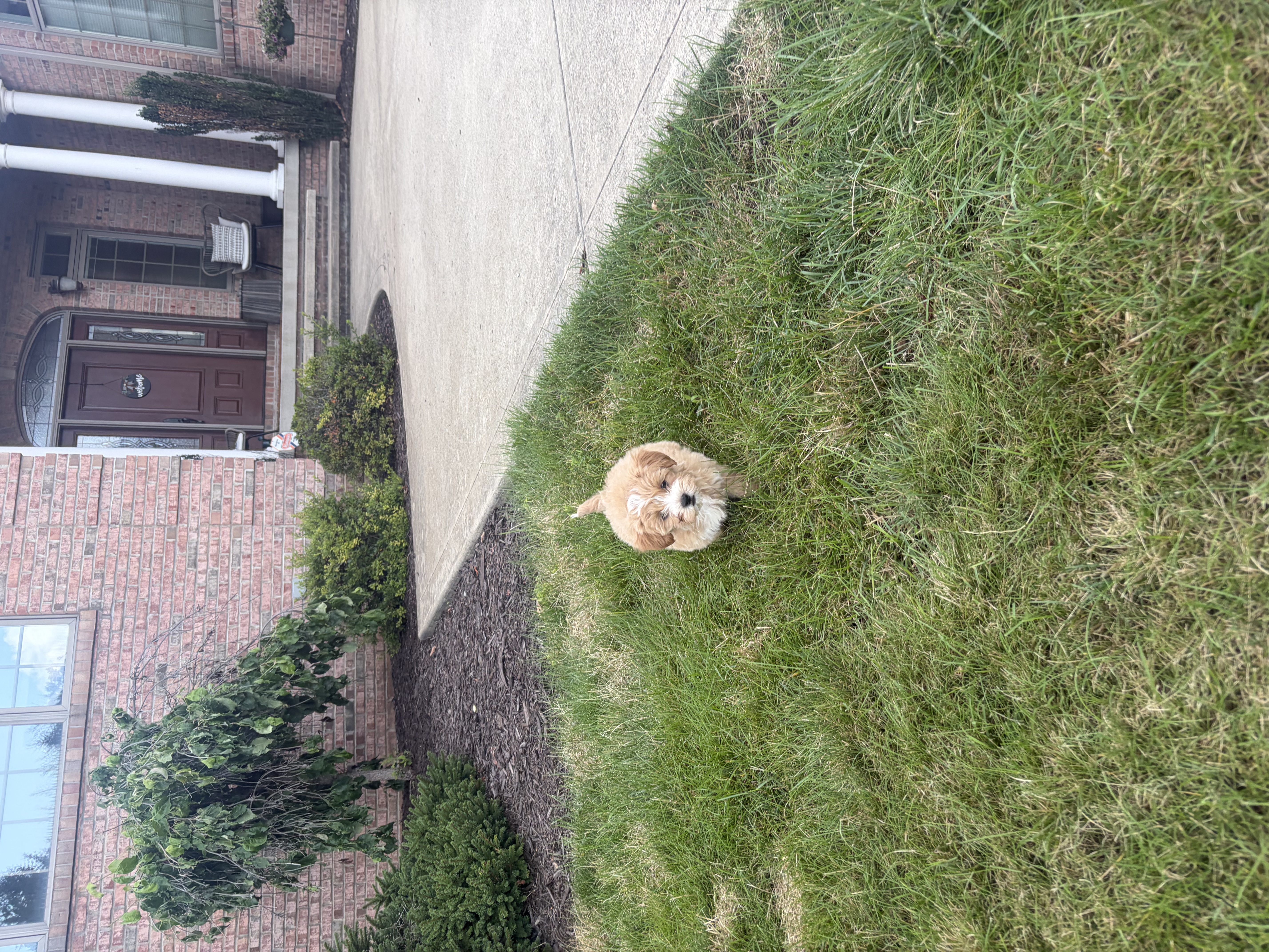 Photo Review Submission from Allison Hunter