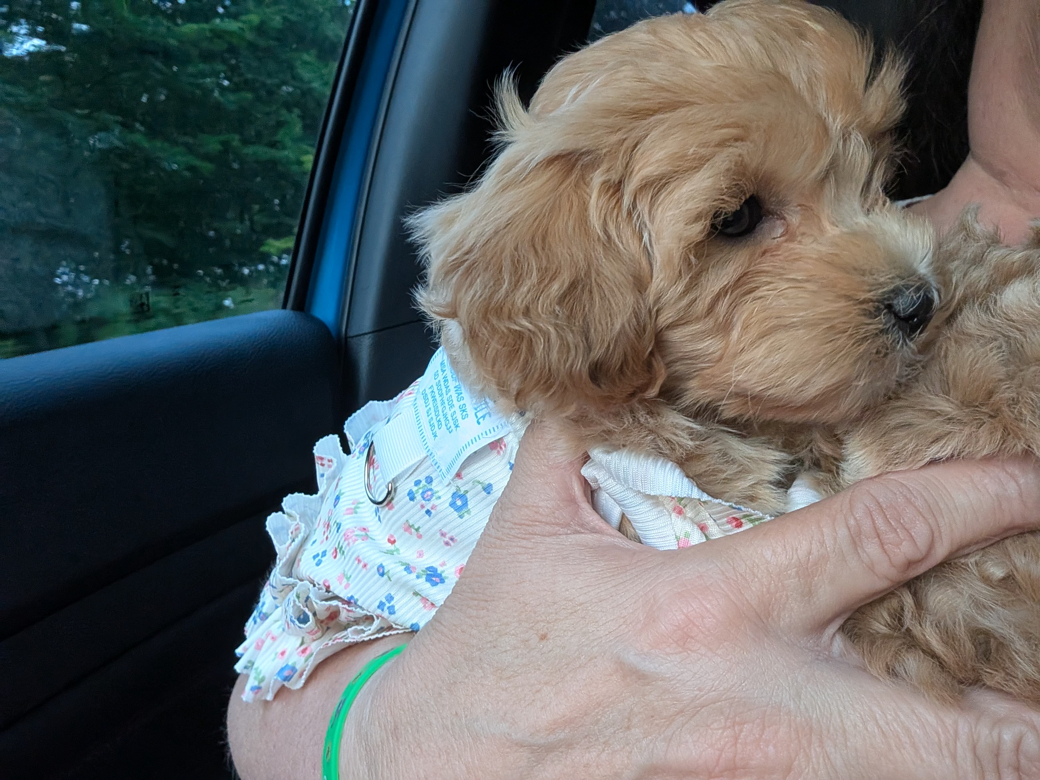 Photo Review Submission from Carolyn Haney