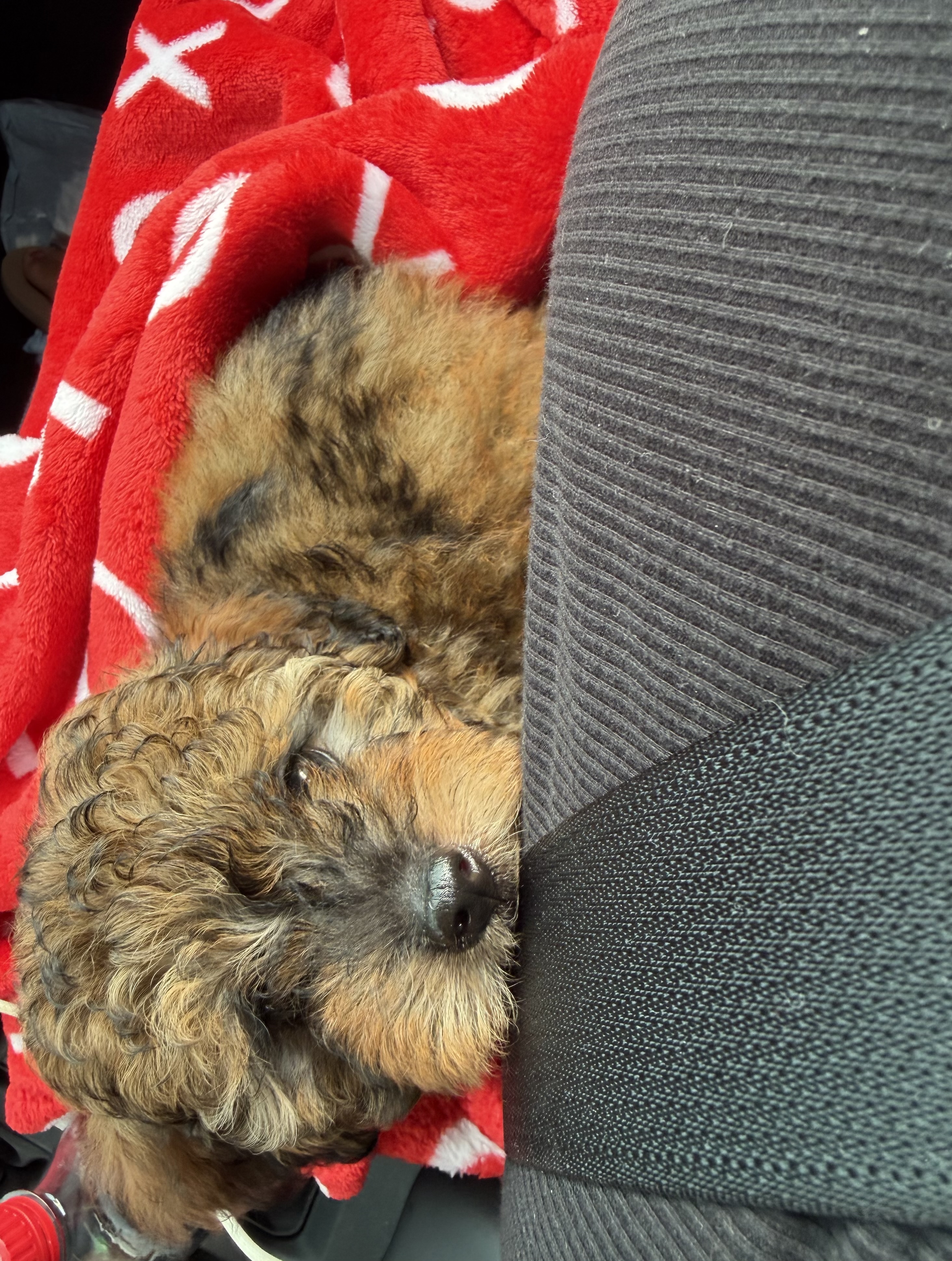 Photo Review Submission from Jayda-Lee Baez