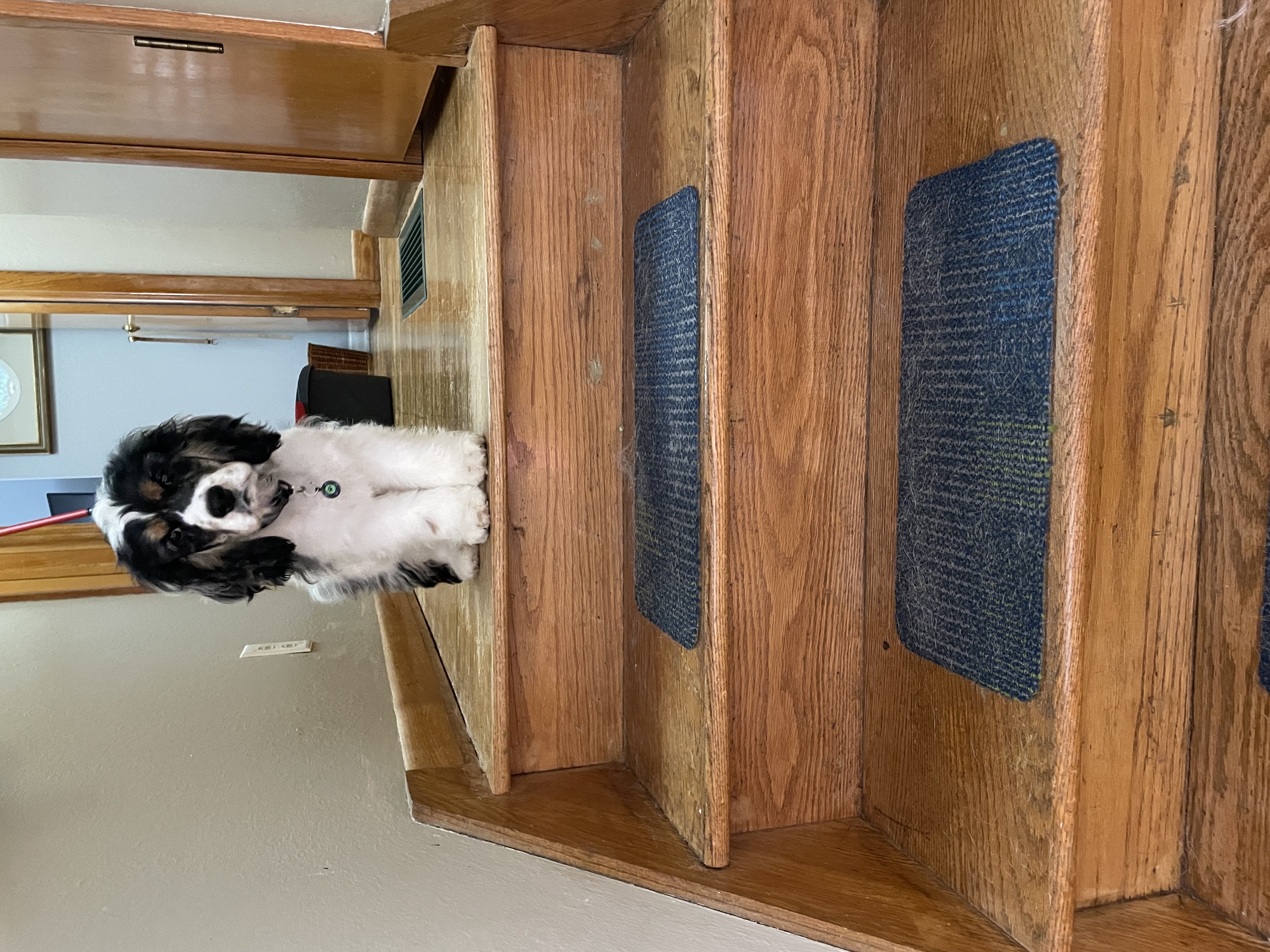 Photo Review Submission from Brenda Radcliff