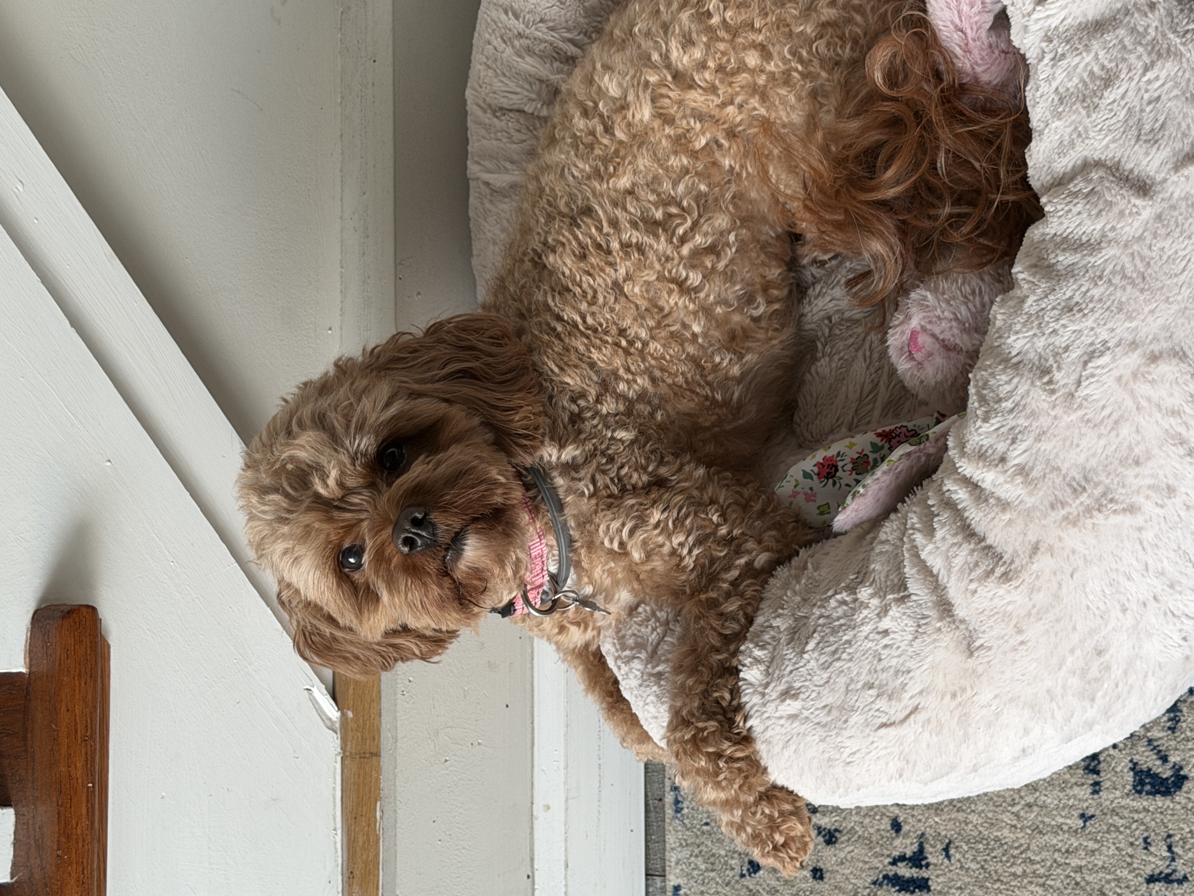 Photo Review Submission from Renee Richter