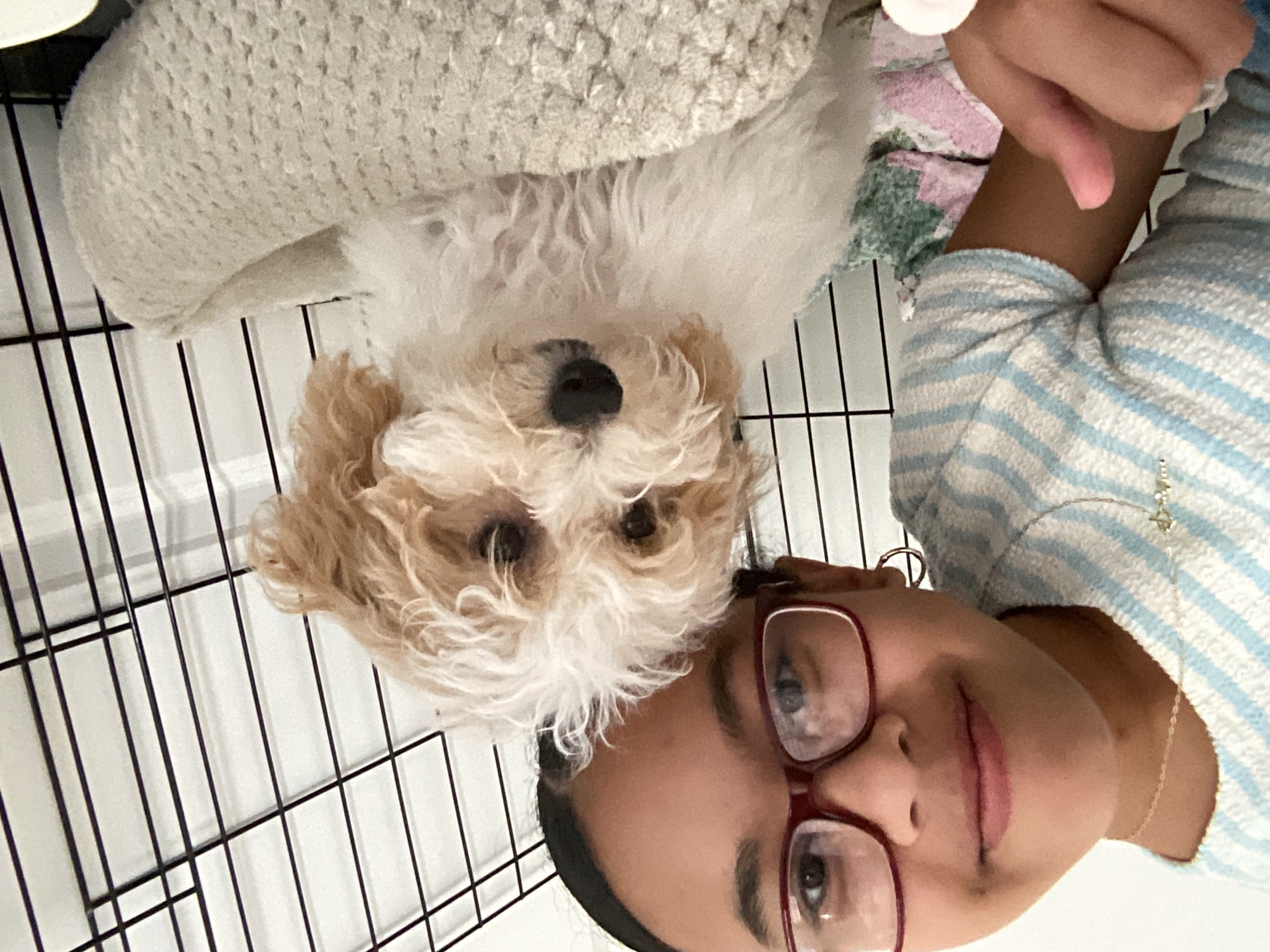 Photo Review Submission from Sophie Oliveira