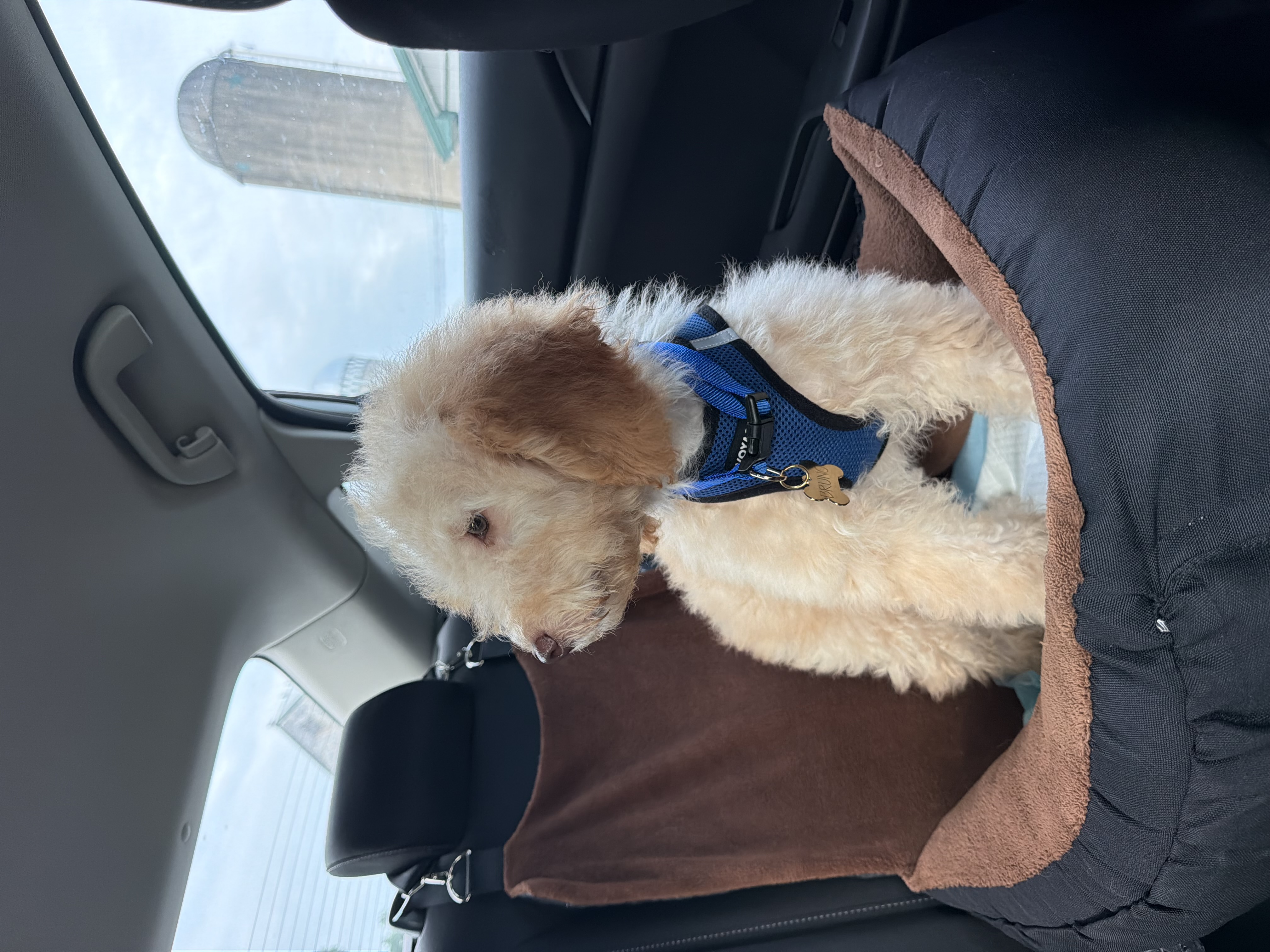 Photo Review Submission from Gisela F
