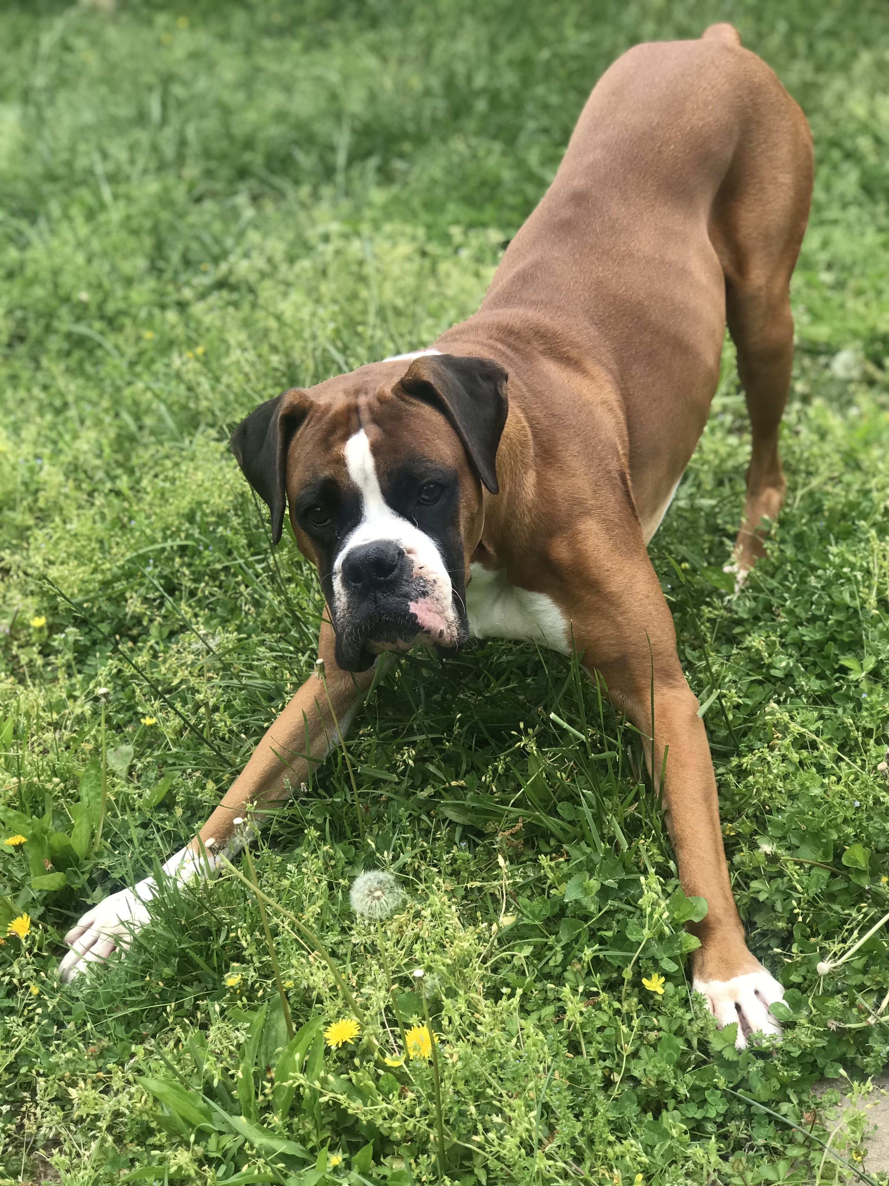 Photo Review Submission from Charity Buckmaster